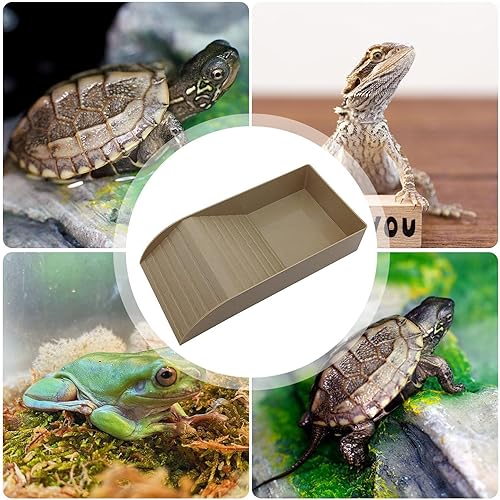 Miniatura 4 de Plato de comida de tortuga, Plato de alimentación de tortugas reptiles, Plato de agua de alimentación de reptiles, Tazón de agua de tortuga con