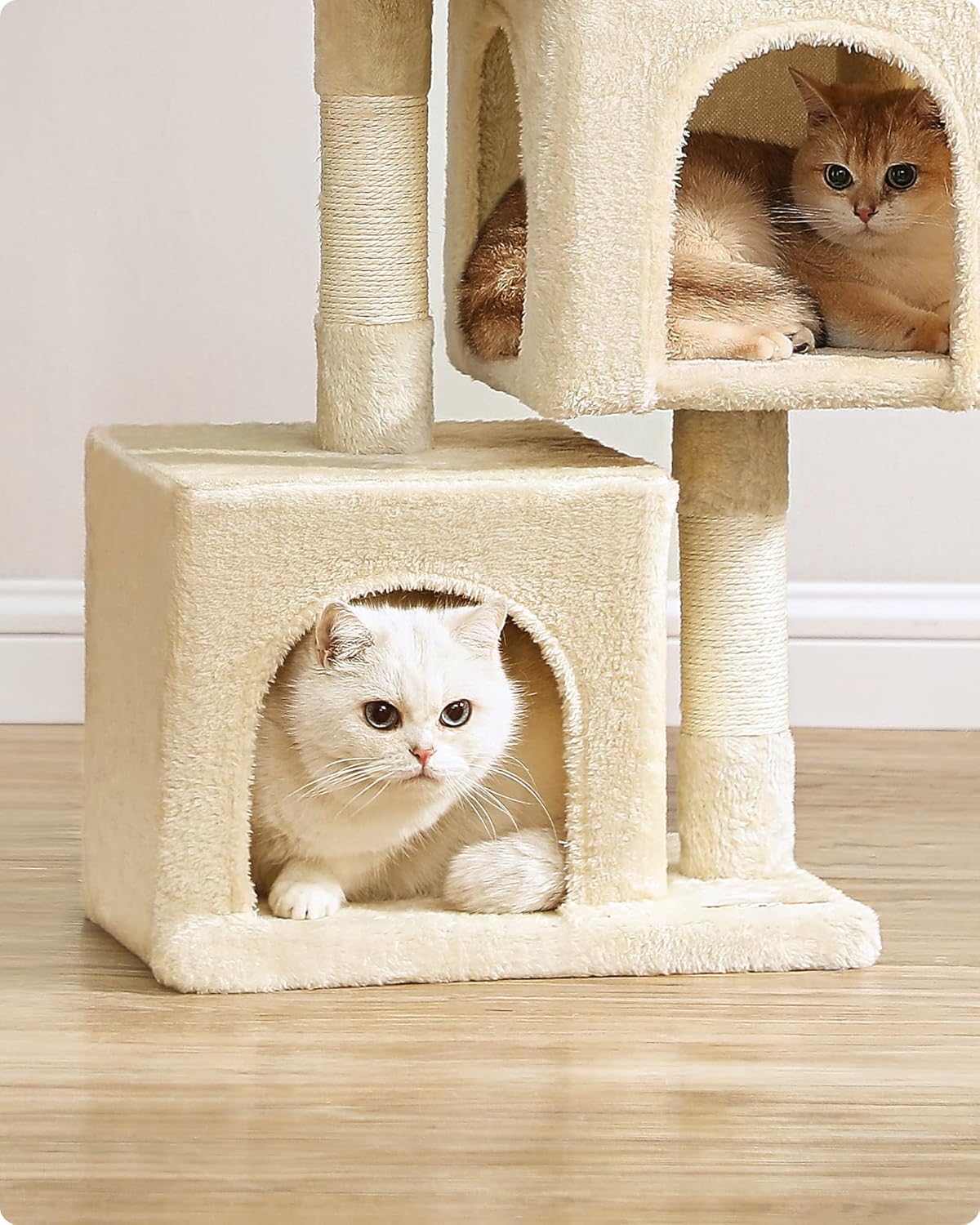 Close-up view of two cats resting inside the two condos of the Feandrea Cat Tree.