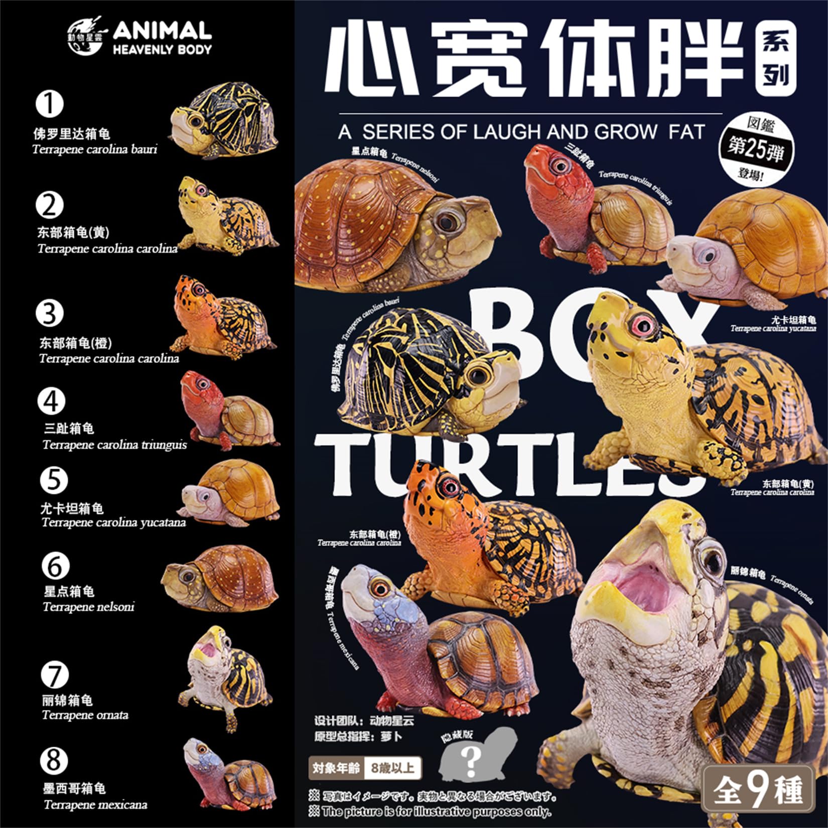 Amazon.co.jp: 動物惑星 第25弾 アメリカハコガメ フィギュア 6-8cm