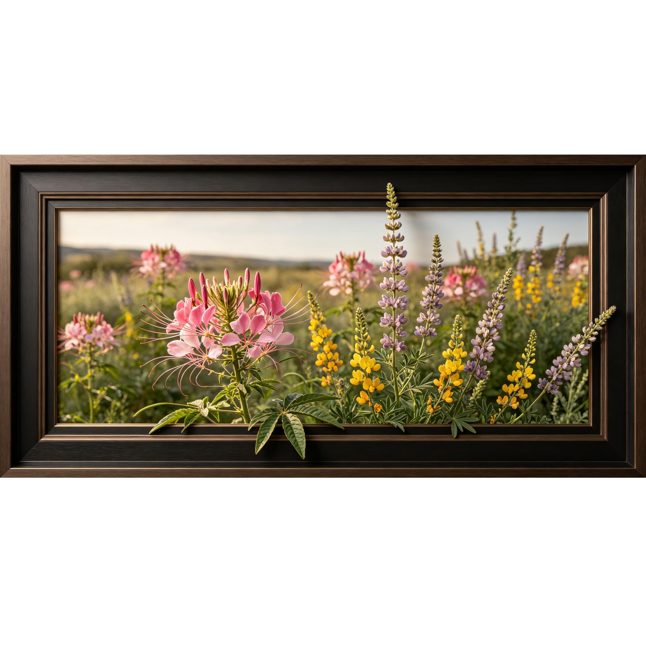 Agglomerix 3D Framed Wall Art Wildflower Meadow Botanical Lupine Cleome Field Large Size SelfAdhesive Removable Wall Decor Prints Artwork for Living Room Bedroom Office