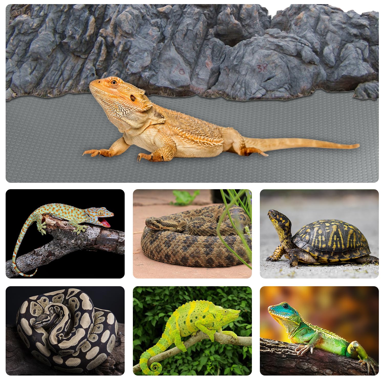 Accesorios para tanques de reptiles, accesorios de tanque de dragón barbudo Gecko de leopardo EVA, decoración de tanque de terrario, sustrato de alfombra para lagarto, iguana, serpiente, tortuga, ropa