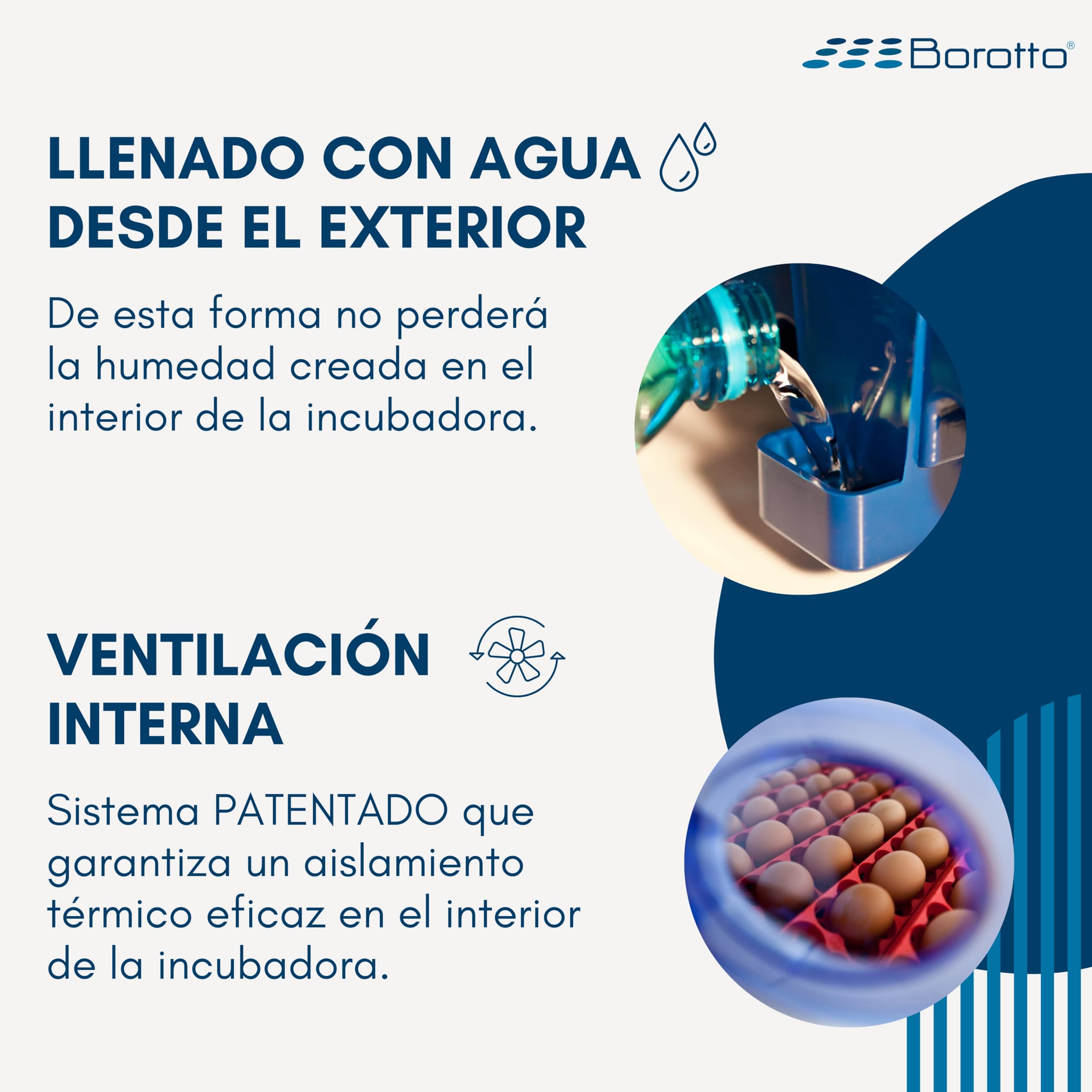 Borotto Real 24 | Incubadora de Huevos Automática Profesional Patentada para 24 Huevos o 96 Pequeños con Volteador de Huevos Automático y Control de Temperatura | Made in Italy