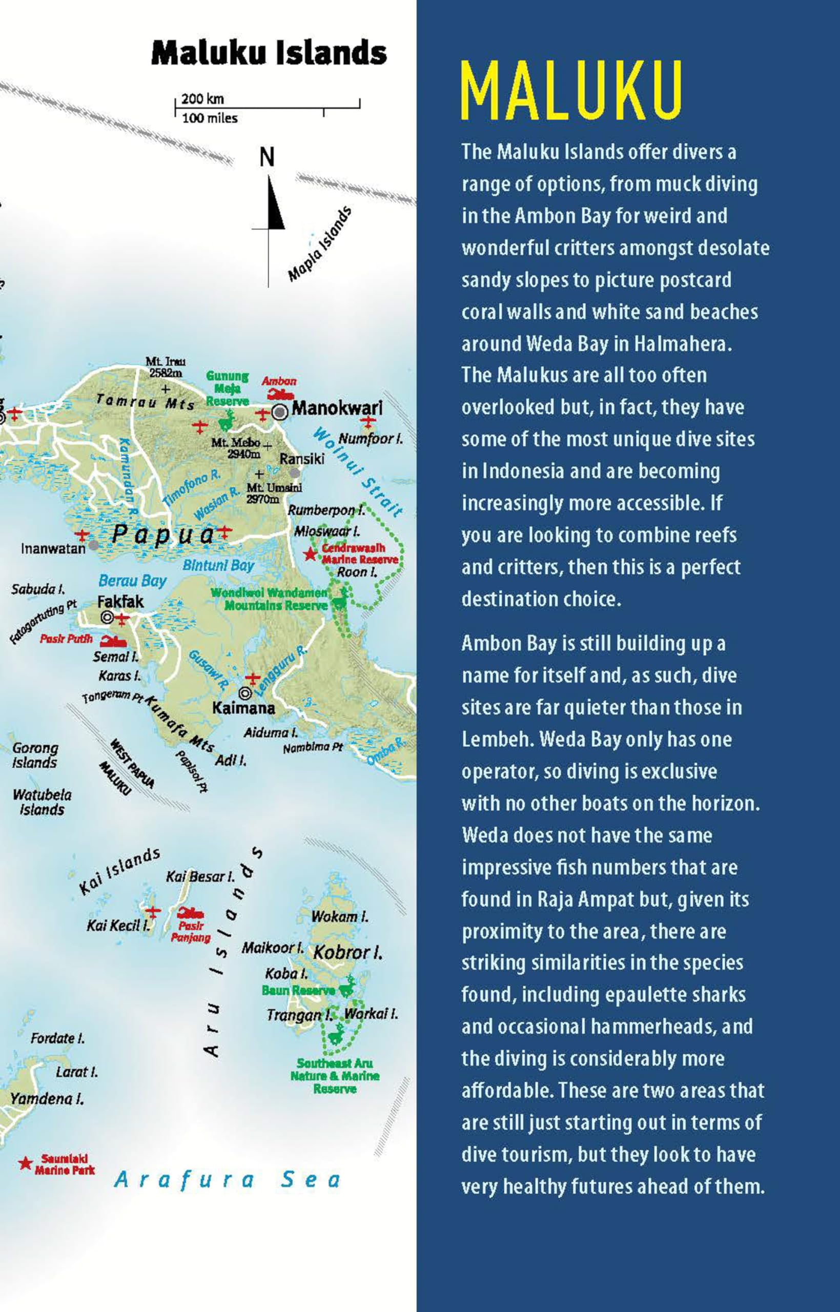 The Ultimate Guide to Diving in Indonesia: Exploring the Tropical Seas with the World's Greatest Marine Biodiversity