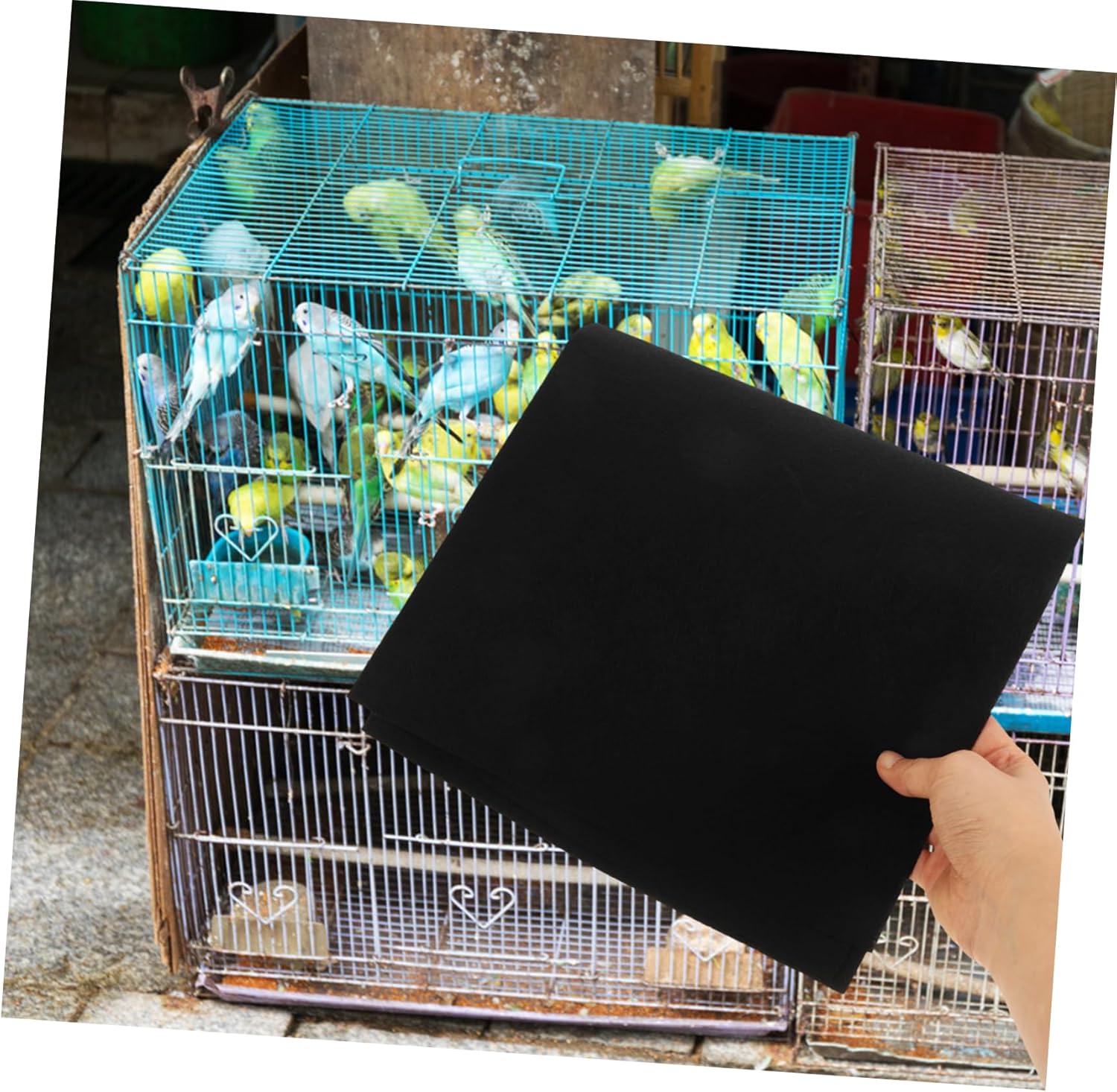 TOYANDONA 30pcs Disposable Bird Cage Liner Cushion Water Absorbent Parrot Cage Pad for Clean Neat Birdcage Cuttable Convenient Bird Bedding