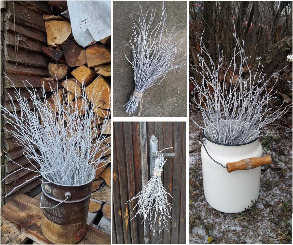 23“ Dried Curly Willow Branches, 23'' Birch Branches Twigs for Home Wedding Decoration Flower Arrangements