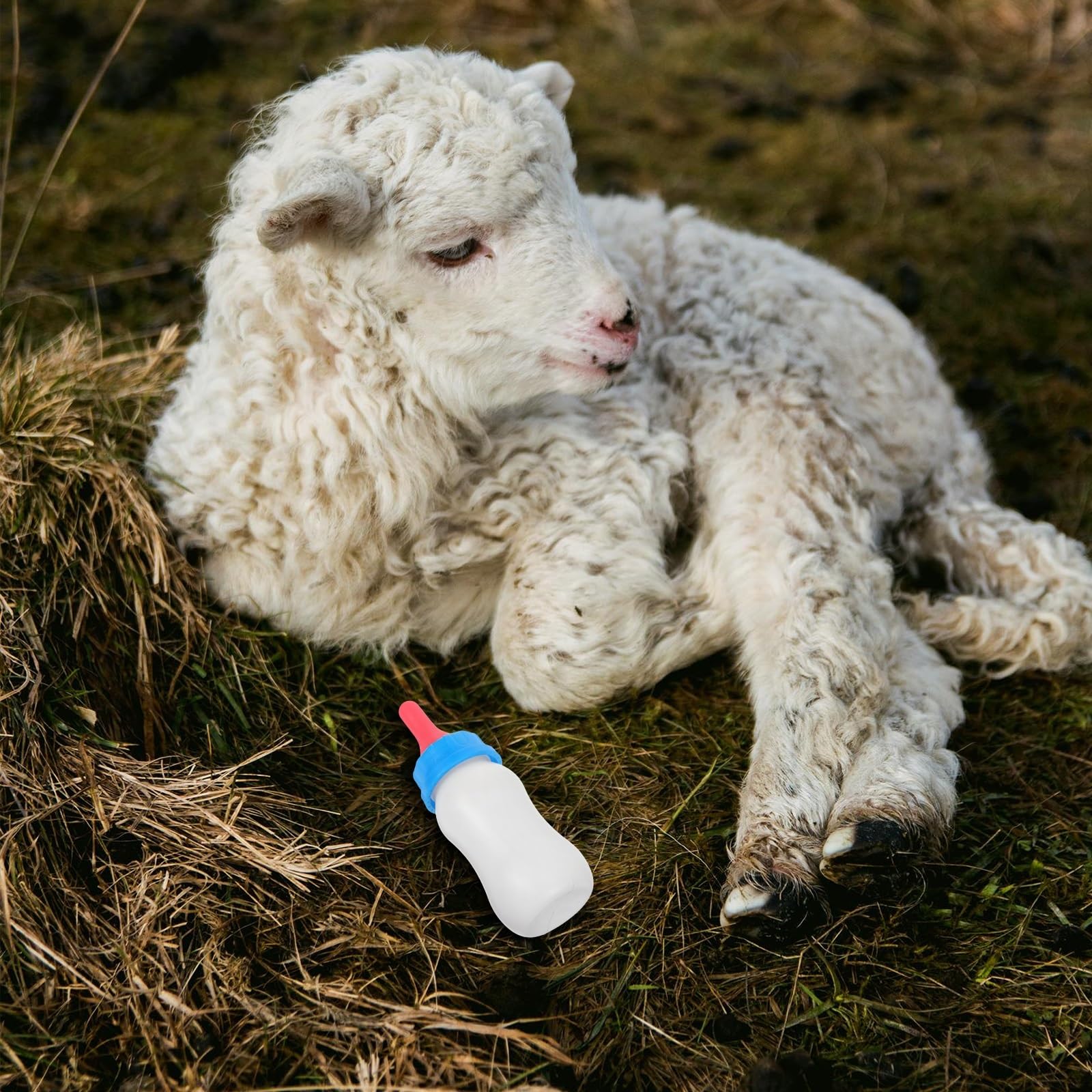 Butelki do karmienia jagniąt, Butelka na mleko, butelka do karmienia małych zwierząt, wielokolorowe opakowanie 4 sztuki(White)