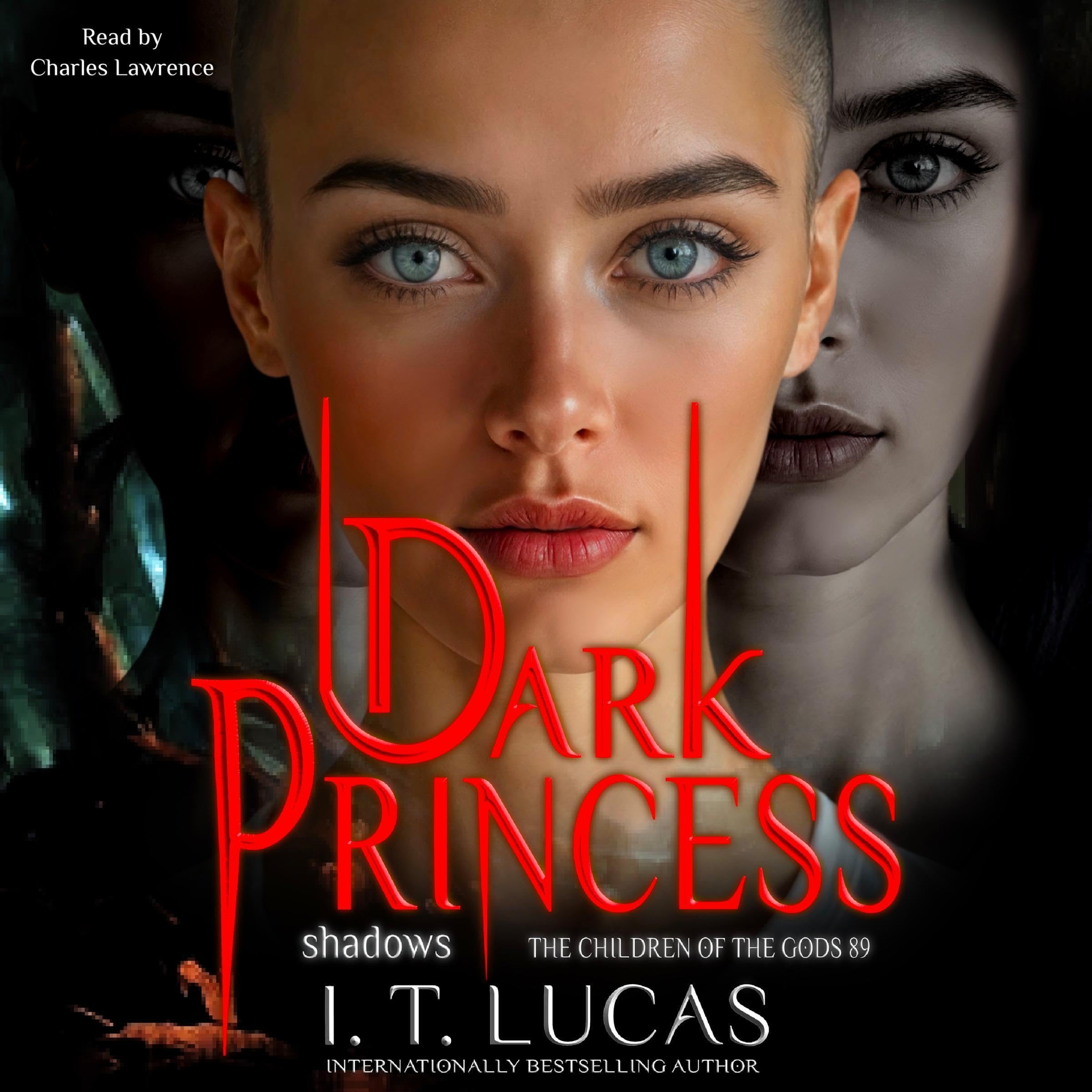 Cover art for Dark Princess: Shadows