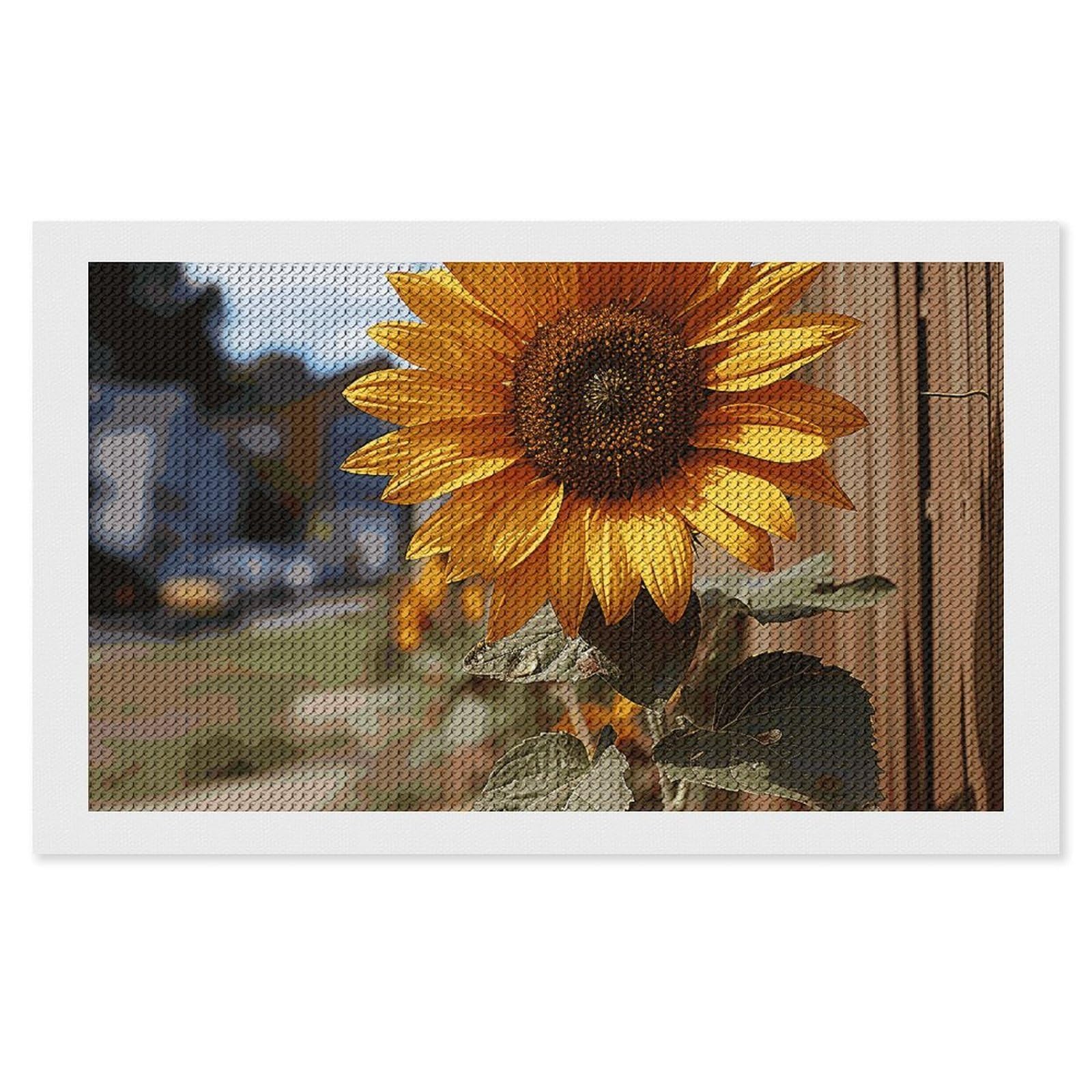 NONHAI Diamond Painting Kits for Adults - DIY Diamond Art Kits for Beginners - Full 5D Paint Drill Diamond Dots Paintings- Farm Sunflower Diamonds Pictures Gem Art and Craft Wall Decor 12"x20"