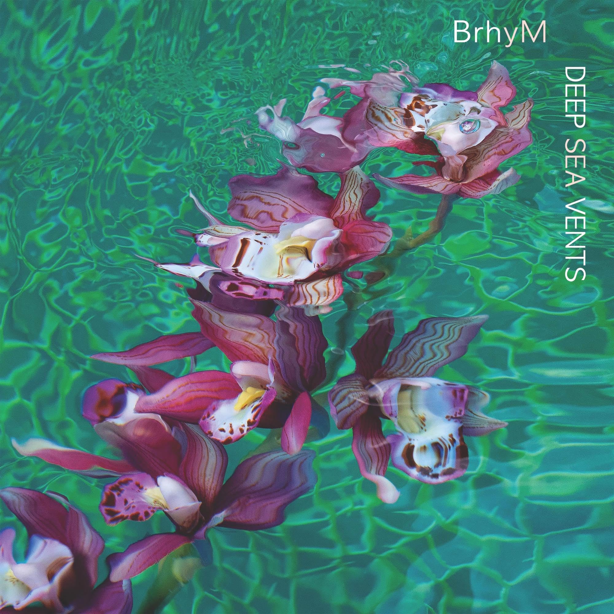 Deep Sea Vents [VINYL]