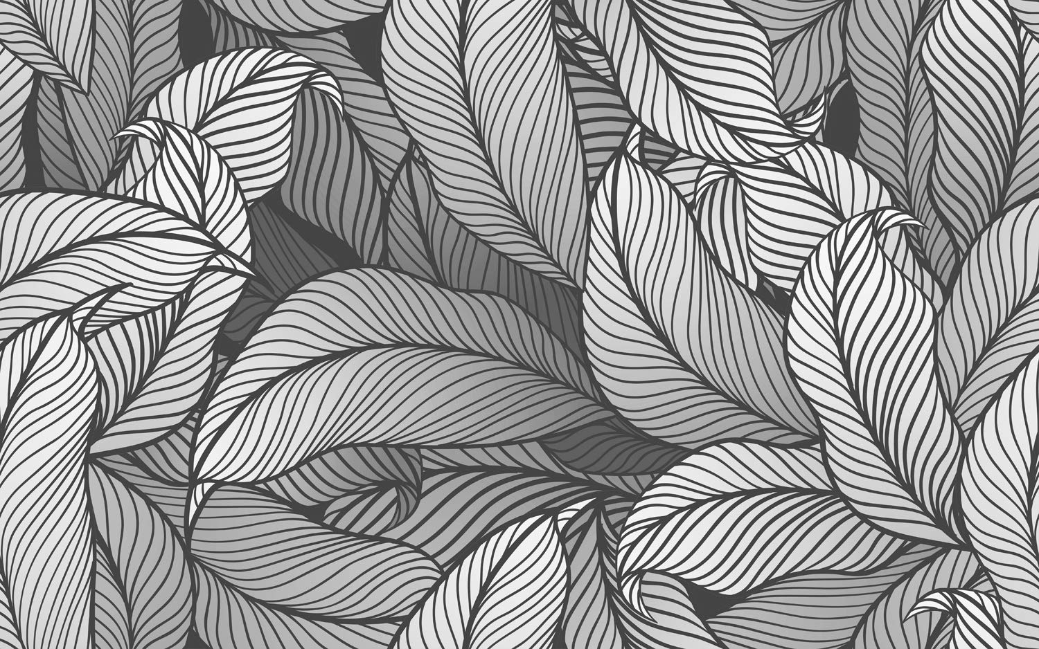 DWELLSINDIA Leaves Self Adhesive Peel and Stick PVC Wallpaper Waterproof, Scratch Resistant, Laminated (41CM X 244CM, Grey, Matt Finish) (B08RJYWDDJ) Amazon Price History, Amazon Price Tracker