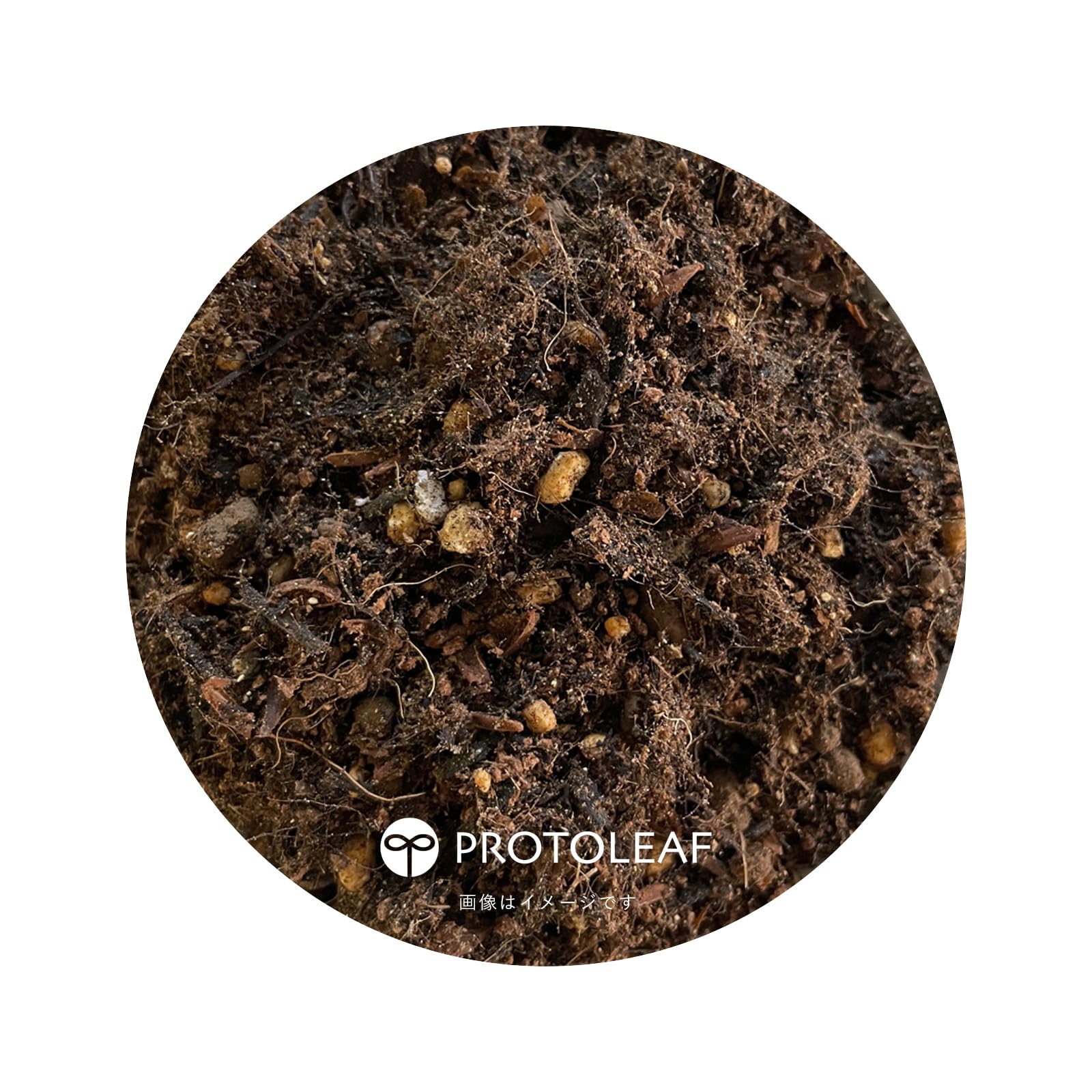 Amazon | プロトリーフ クリスマスローズの土 5L | 用土