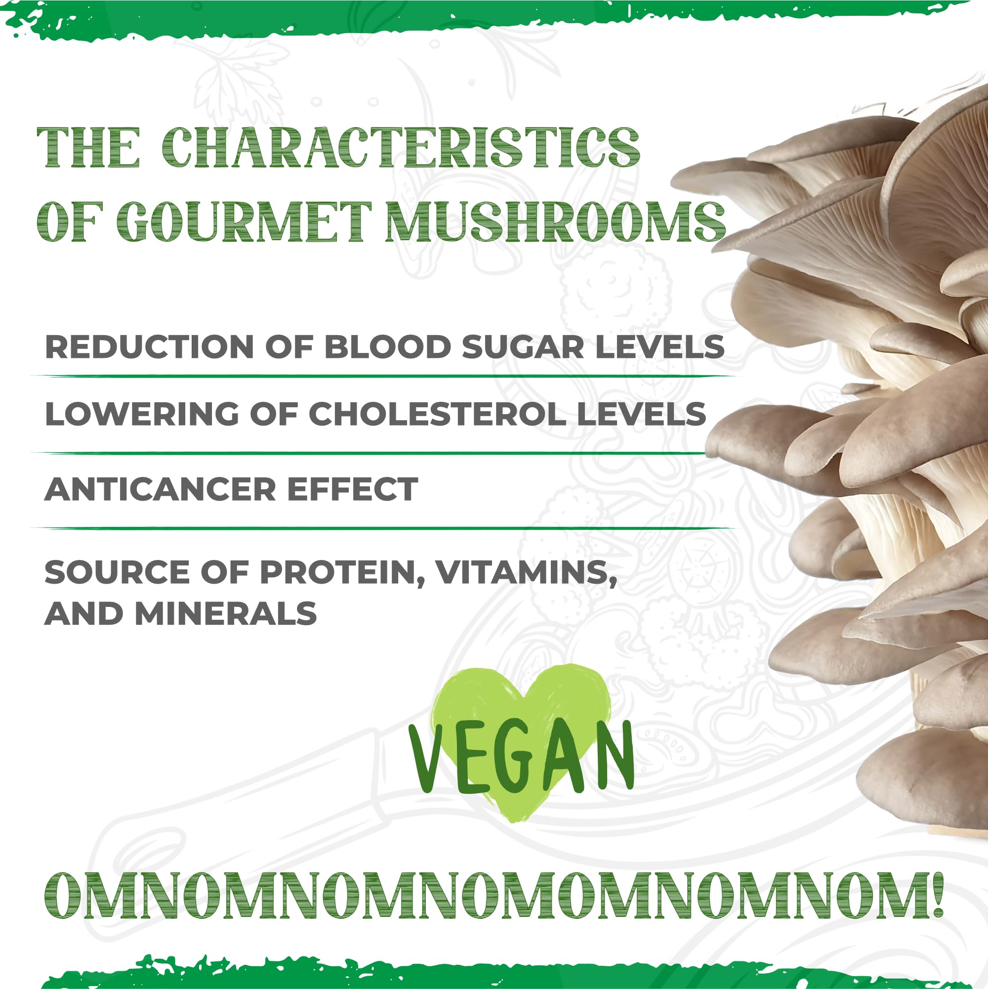 Kit de culture de champignons | champignons frais à tout moment | Cultiver des pleurotes sans connaissance préalable | Arôme parfait des champignons nobles | Guide de culture facile à comprendre
