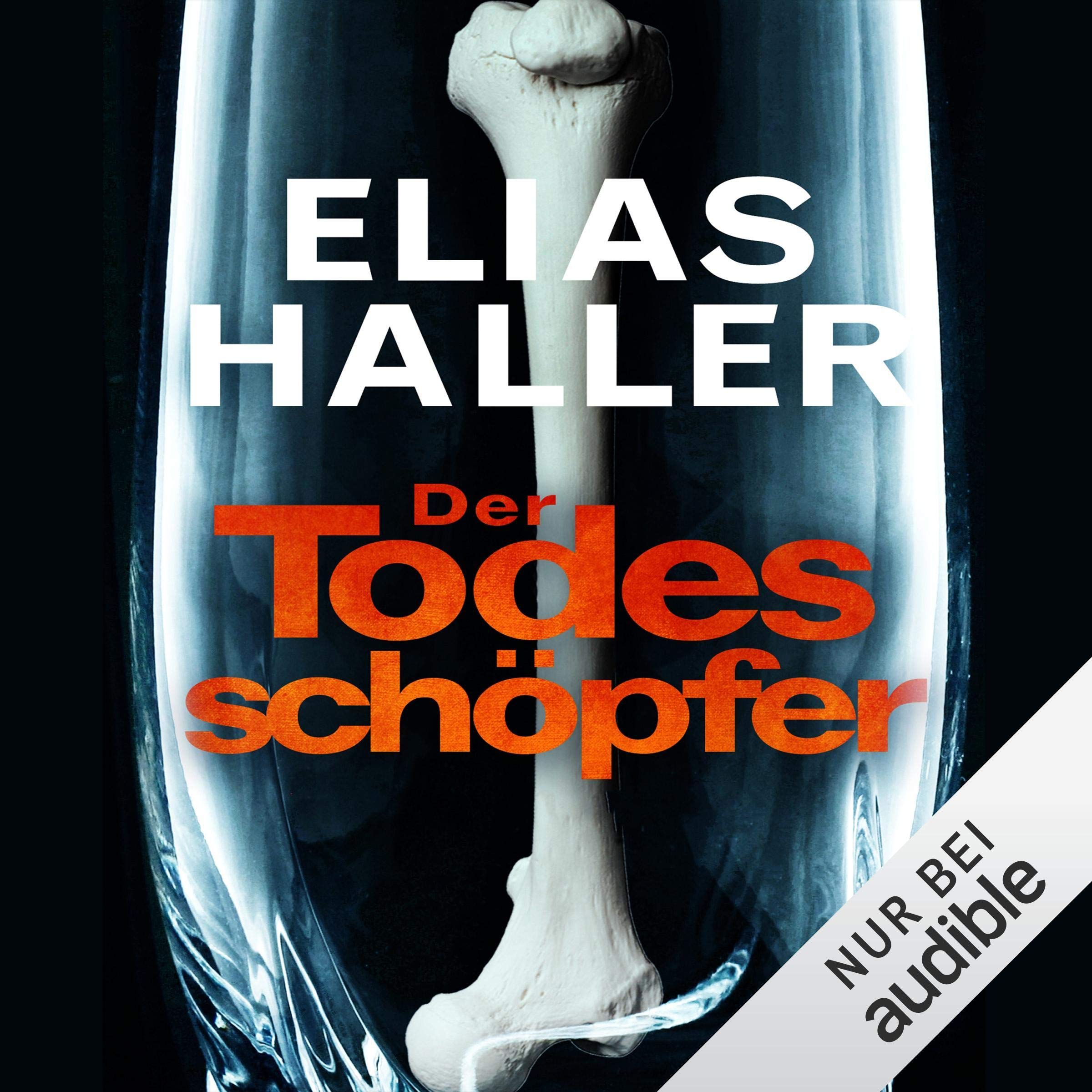 Cover art for Der Todesschöpfer