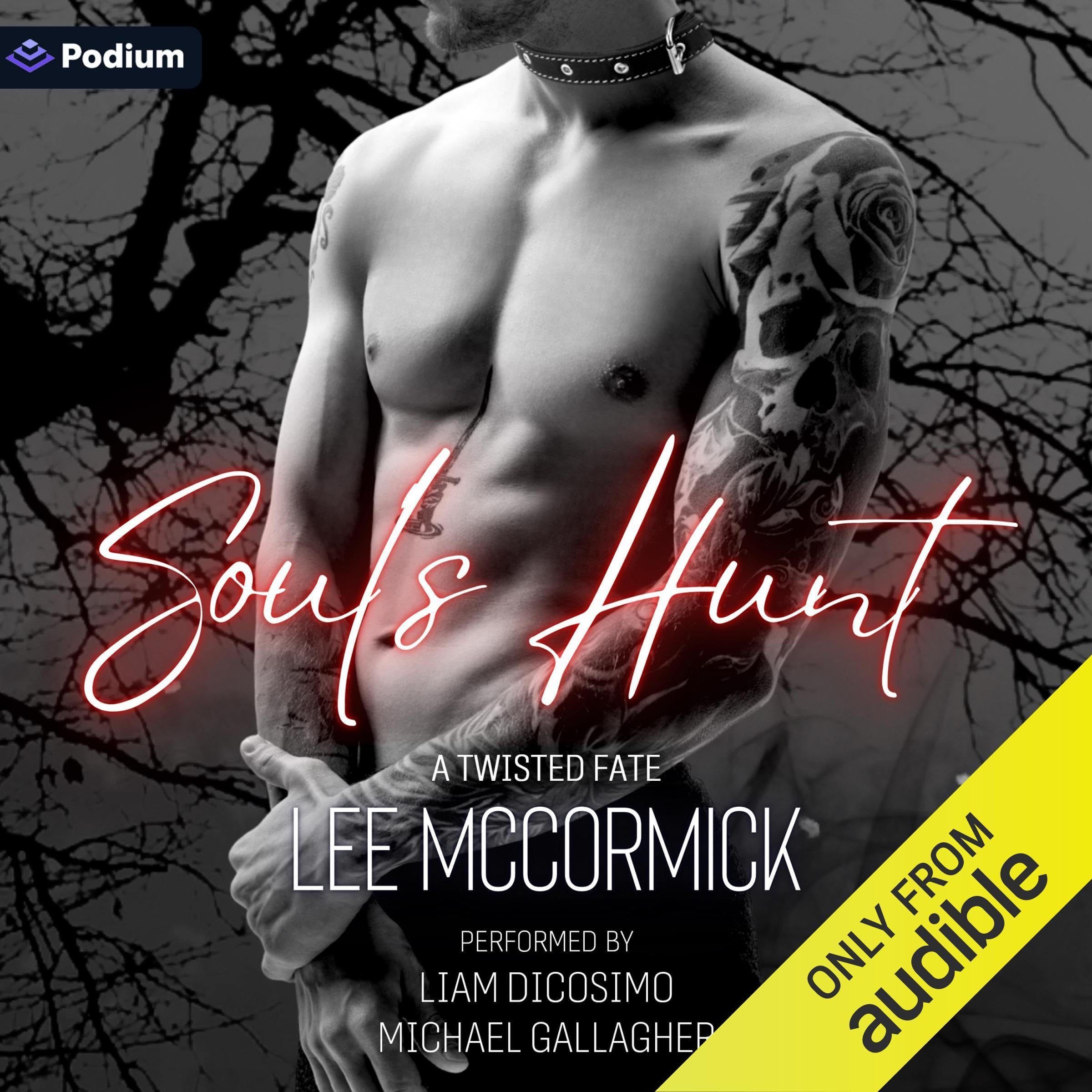 Cover art for Soul's Hunt
