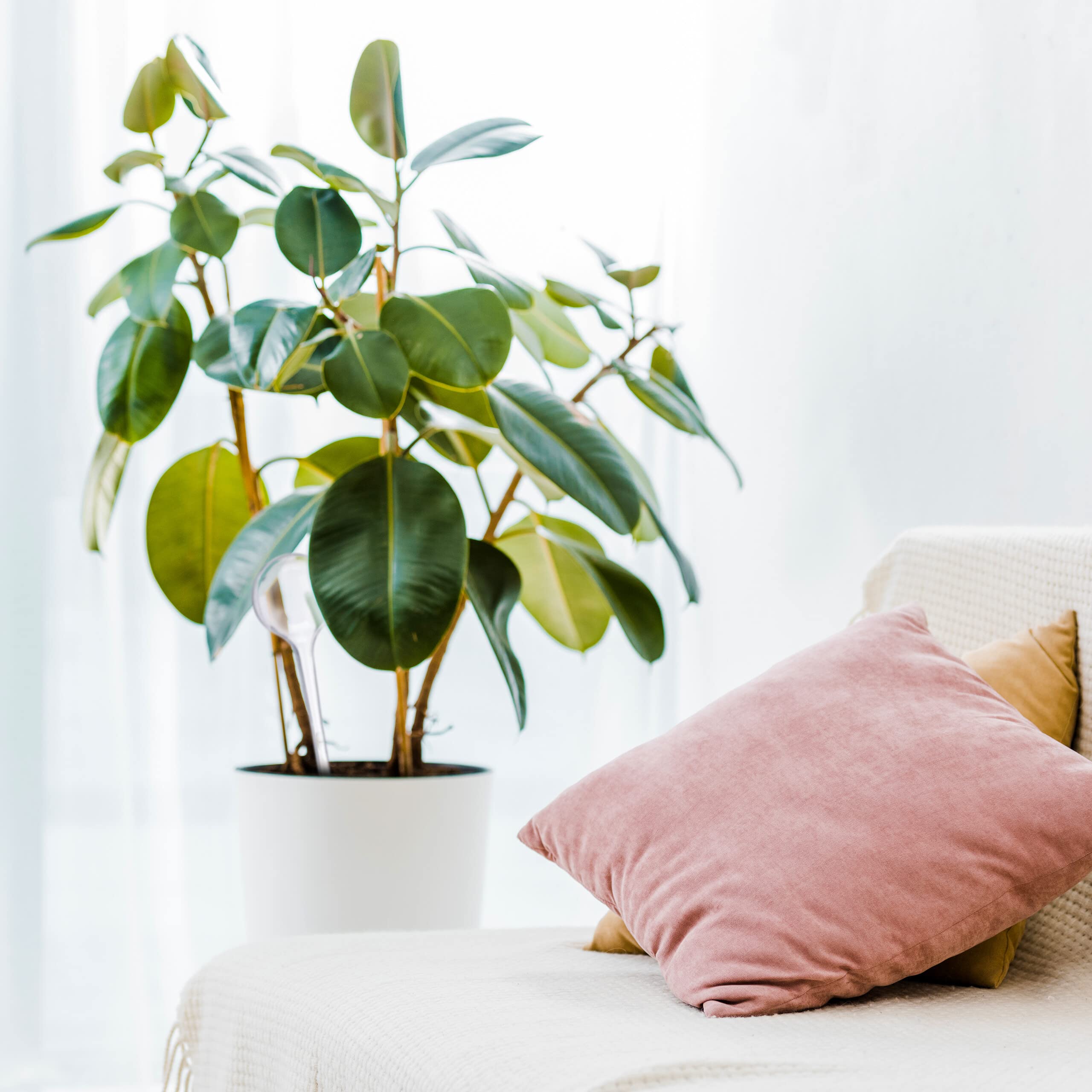 Relaxdays Kulki nawadniające, zestaw 10 sztuk, wys. x śr.: 28 x 8 cm, kulki do pragnienia kwiatów i roślin, 250 ml, tworzywo sztuczne, przezroczyste