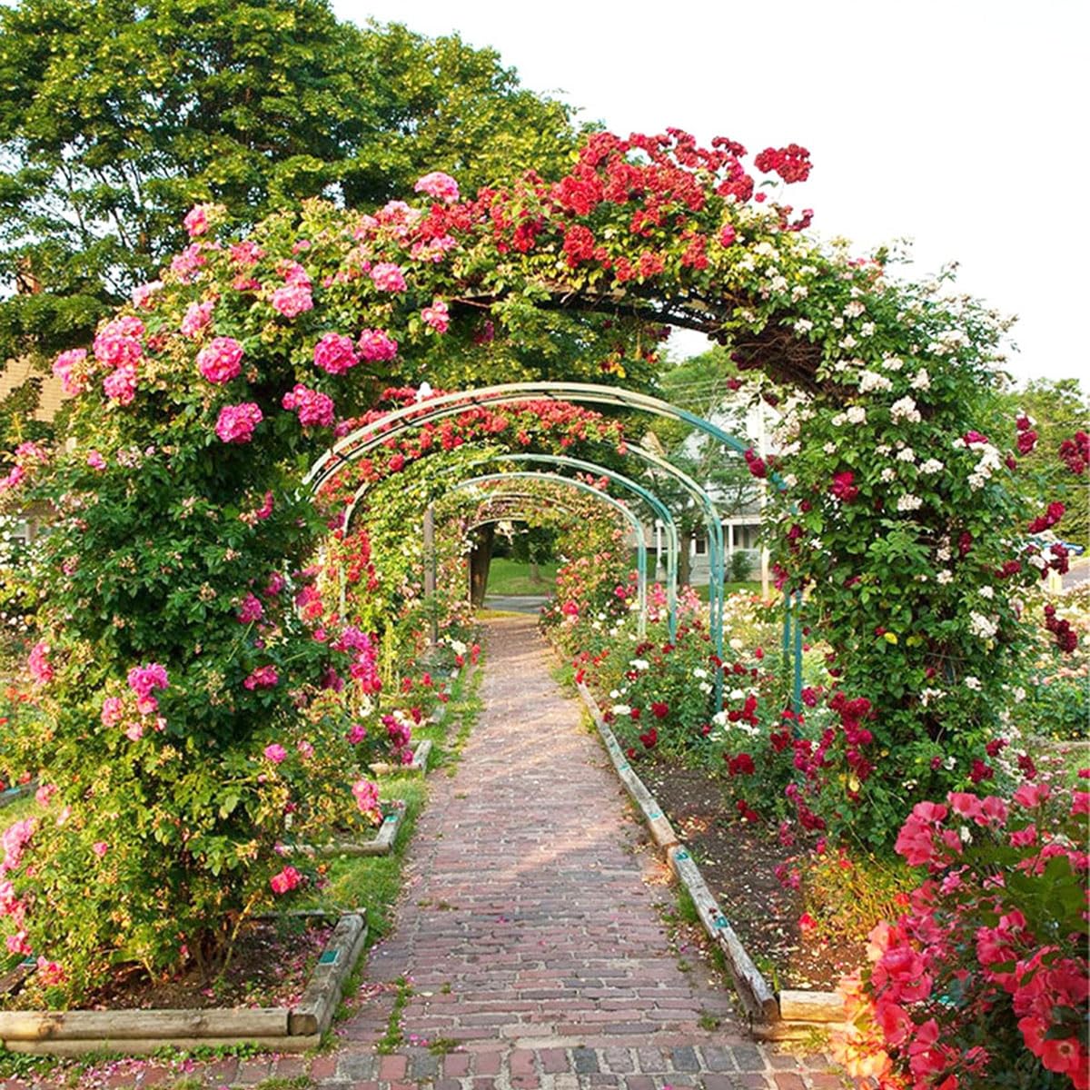 Arco Rampicanti Archi Giardino 120 180 200 240, Sostegno Pergolato in Metallo per Rose Fiori Piante Vite, Supporto per Decorazioni Nozze Esterni e Interni(Nero,W180 x H250 x D40 cm)