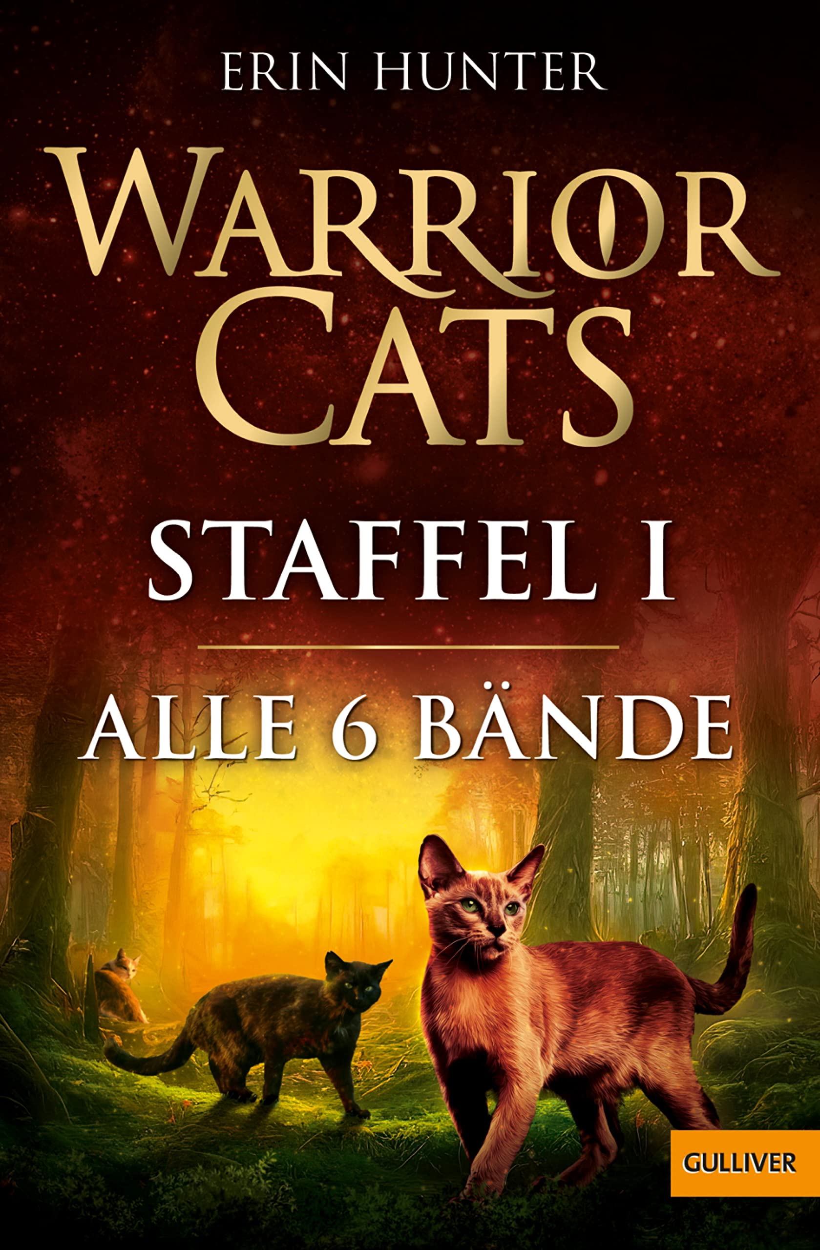 Warrior Cats. Staffel I: Band 1-6 (Warrior Cats, Staffel 1 16)