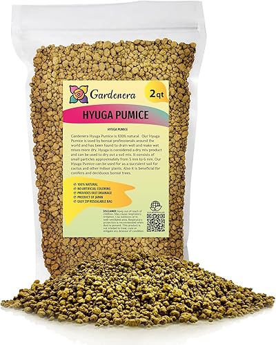 GARDENERA Piedra pómez Hyuga japonesa de alta calidad, 2 cuartos de galón, el aditivo perfecto para el suelo para tus orquídeas y árboles bonsái,