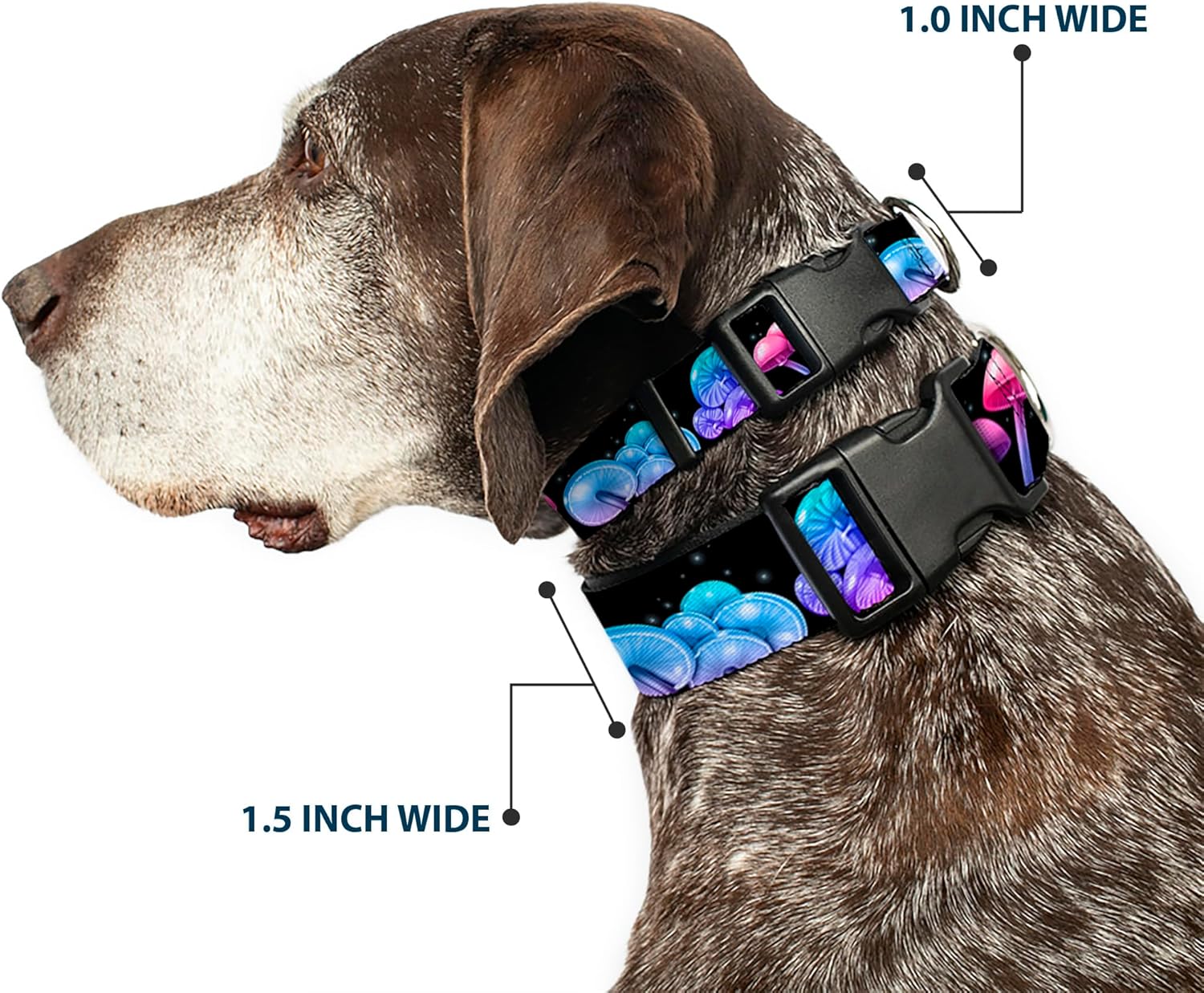 Buckle-Down Dog Collar with Plastic Clip, Quick Release, Easy Adjustable, Mushroom Glow, 13 to 17 Inches 1.5 Inch Wide