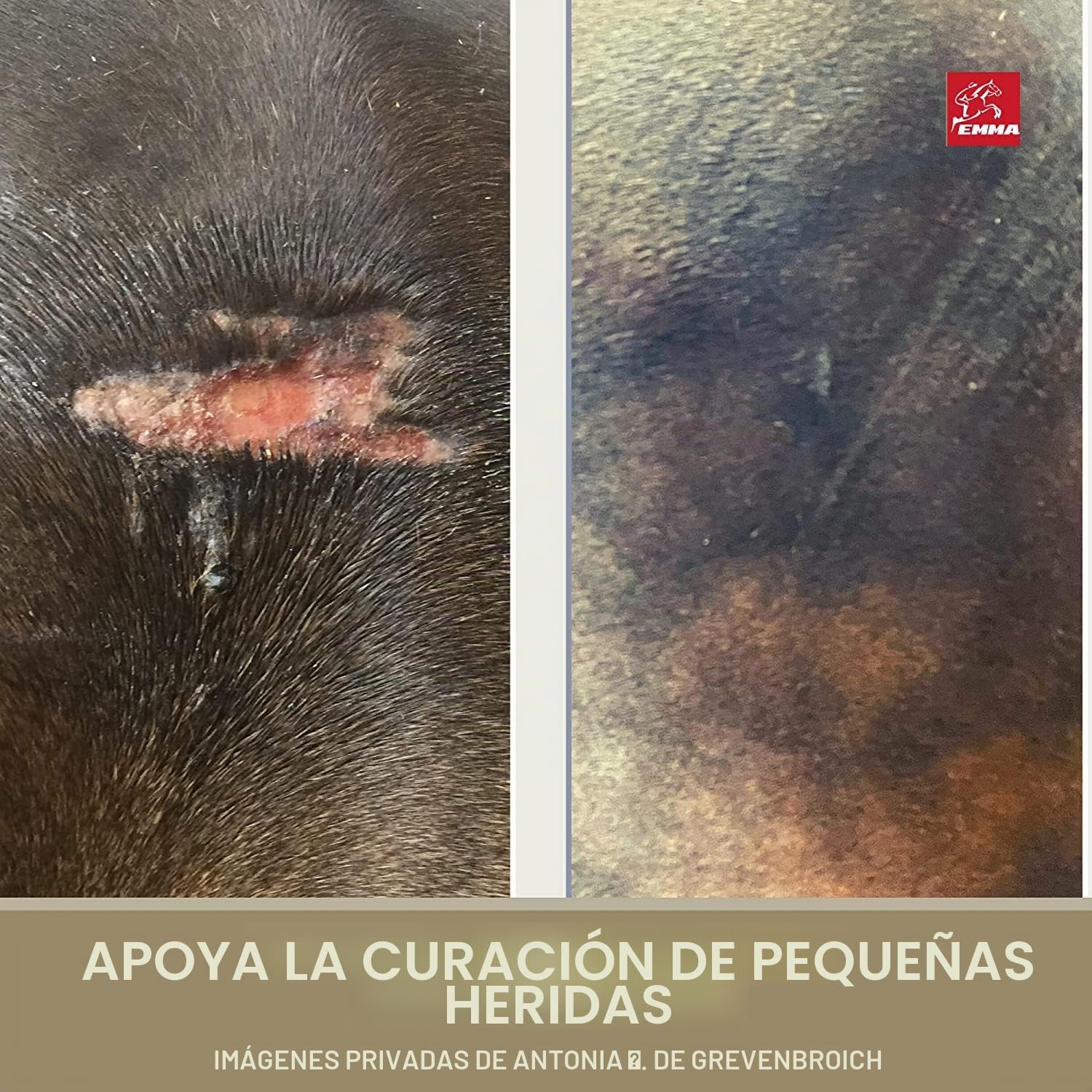 Pomada de Zinc Caballo Perro Gato I para Heridas I Crema de Zinc para Heridas Abiertas I para Eczema con Zinc para Picazón de los Malleros para Curación de Heridas I Curación de Heridas Animales 250ml