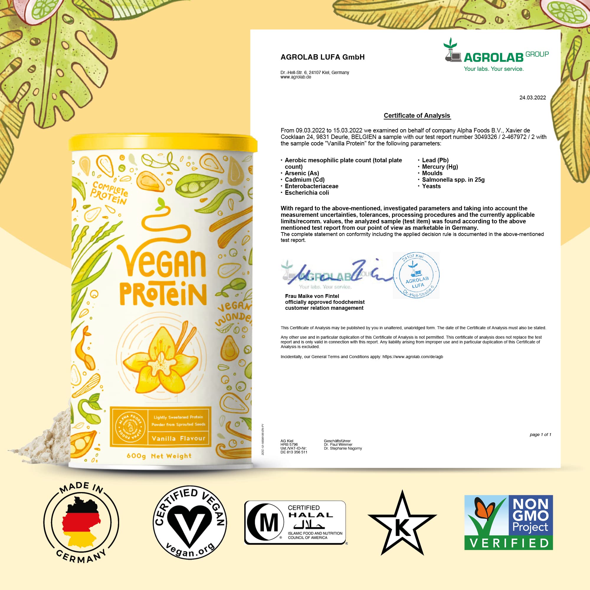 Buy Vegan Vanilla Protein Powder Plant Based Protein from Sprouted