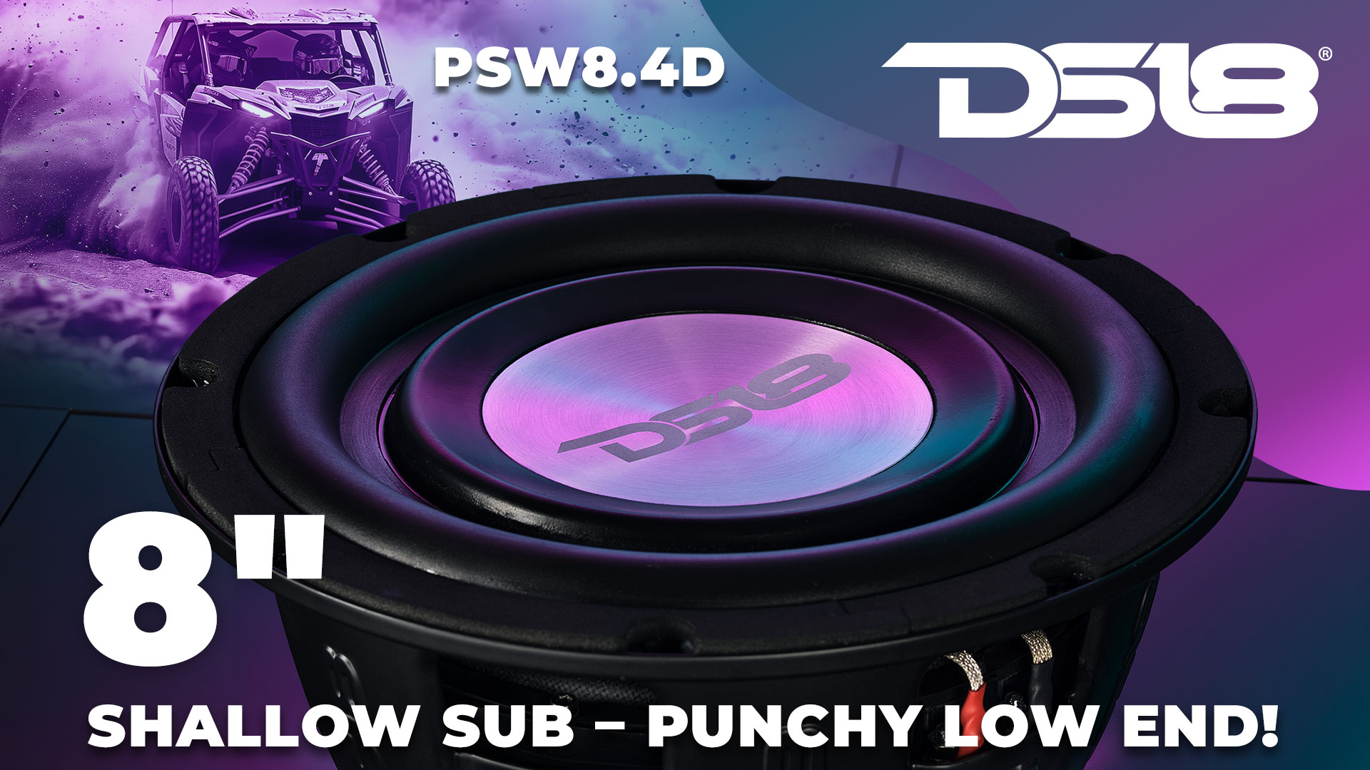 Amazon.com: DS18 PSW10.2D Shallow Mount Subwoofer (8