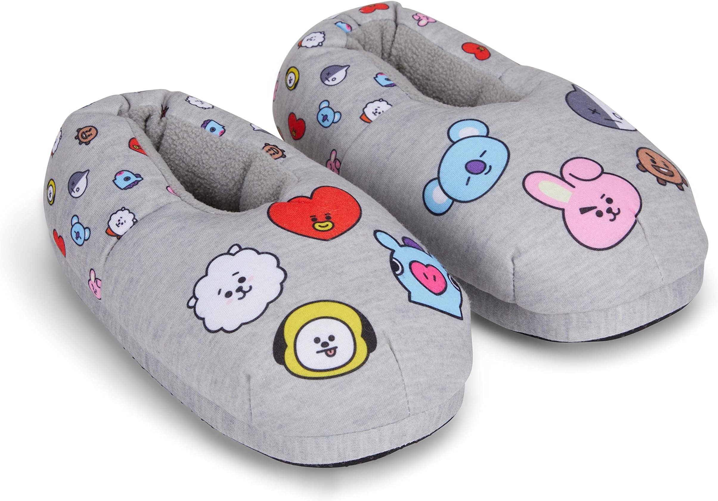 BT21 Ladies Line Friends Plush Slippers - Tata, Van, Chimmy, Cooky, Shooky and RJ