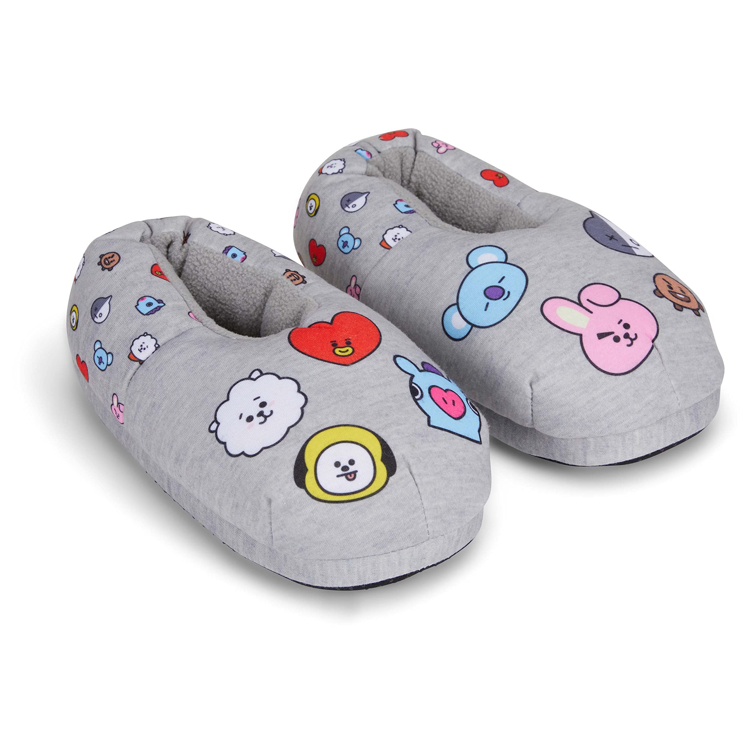BT21 Ladies Line Friends Plush Slippers - Tata, Van, Chimmy, Cooky, Shooky and RJ