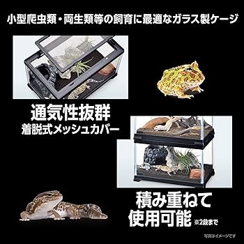 爬虫類 ケージ リクガメケージ レプテリアブラック 爬虫類飼育ケ 81jx6oe3y7L._UF350,350_QL80_.jpg