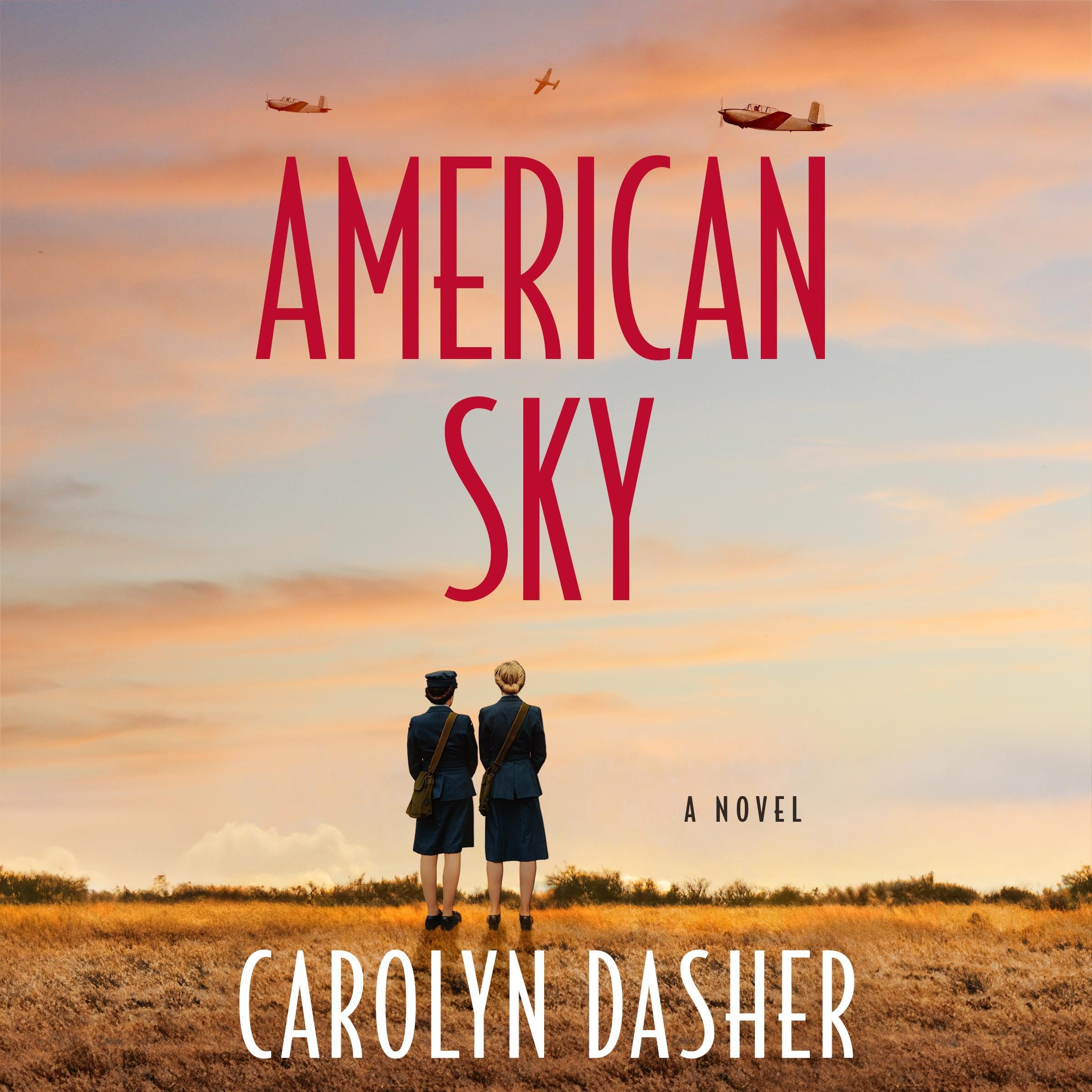 Cover art for American Sky