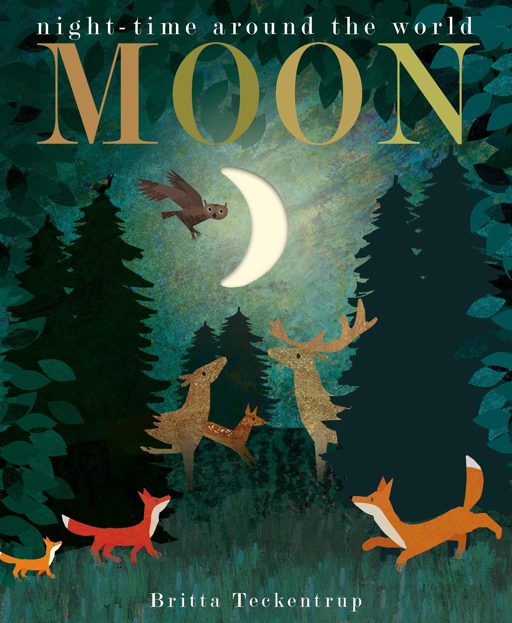 Moon: night-time around the world (Peek-through Nature)