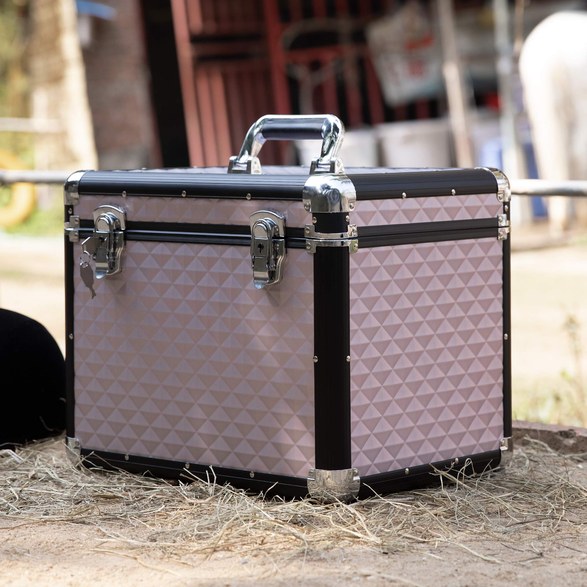 Navaris Caja para Accesorios para Caballos - Baúl de Aluminio para almacenaje y Transporte de Herramientas de Limpieza Cuidado de Caballo - Oro Rosa