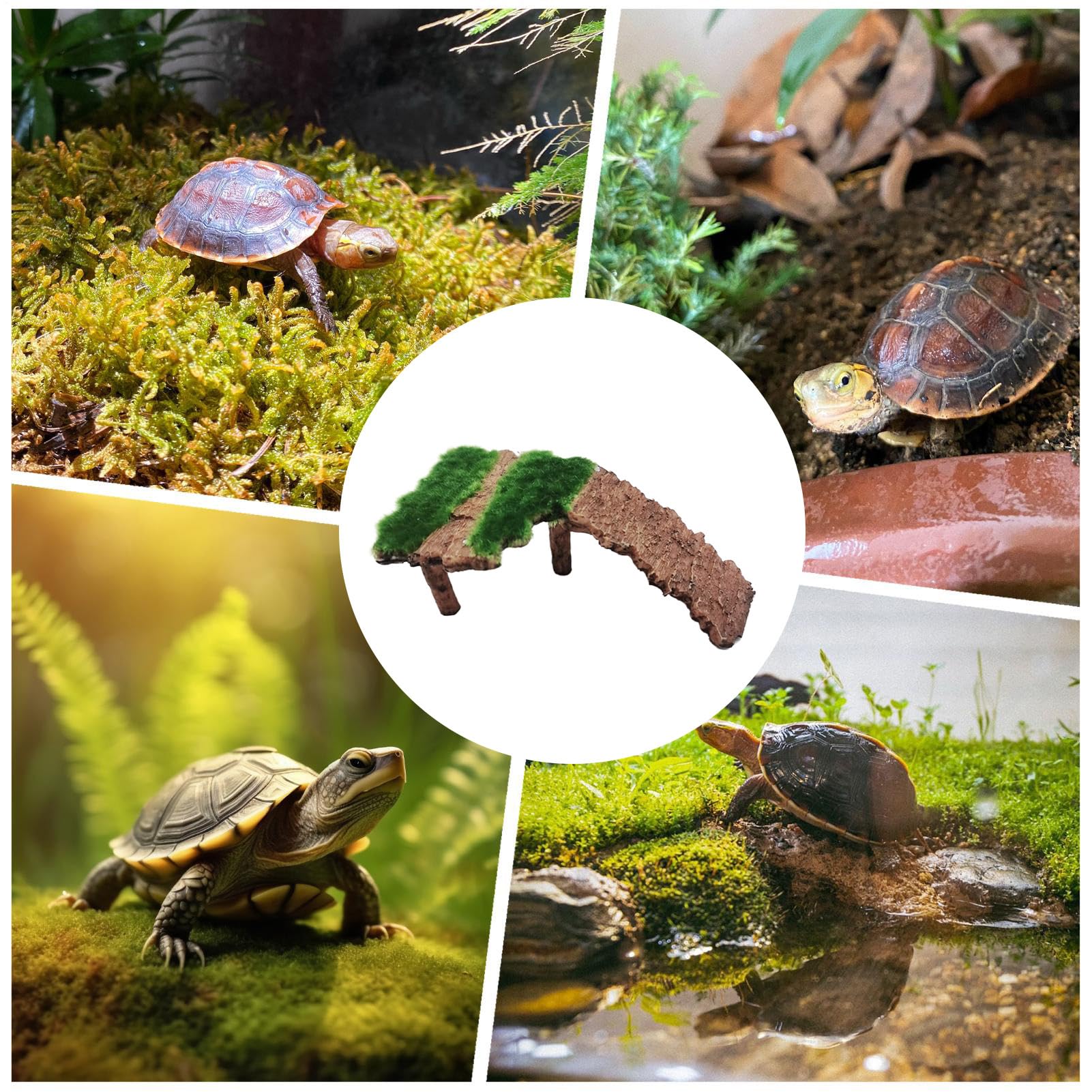 Genérico Vestido Mini de Encaje Off Shoulder - Plataforma de Descanso para Terrario | Terraza Reptil Tortuga - para Ranas, Reptiles, Tortugas terrestres y acuáticas, Dragones barbudos y Geckos — view 4