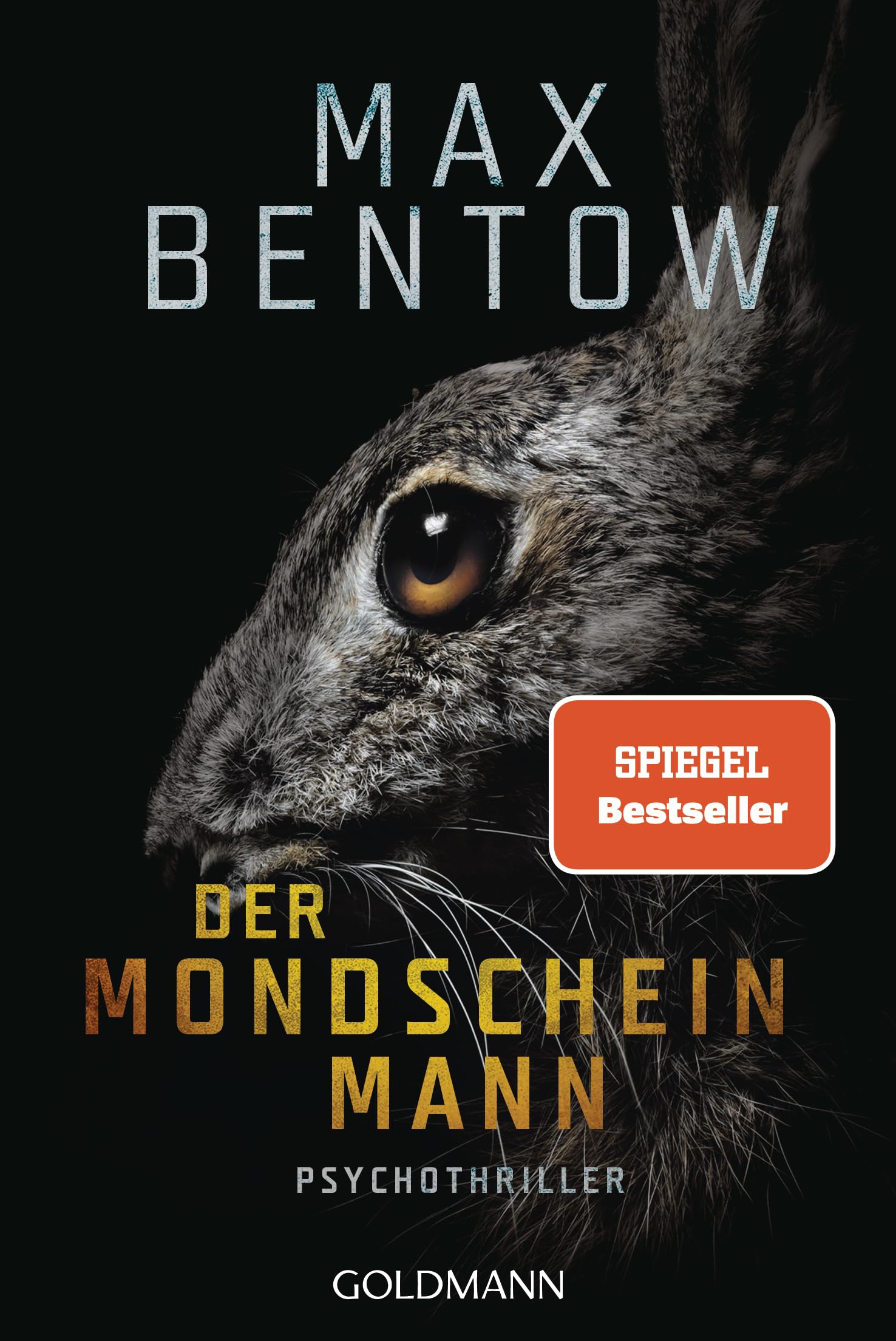 Der Mondscheinmann: Psychothriller