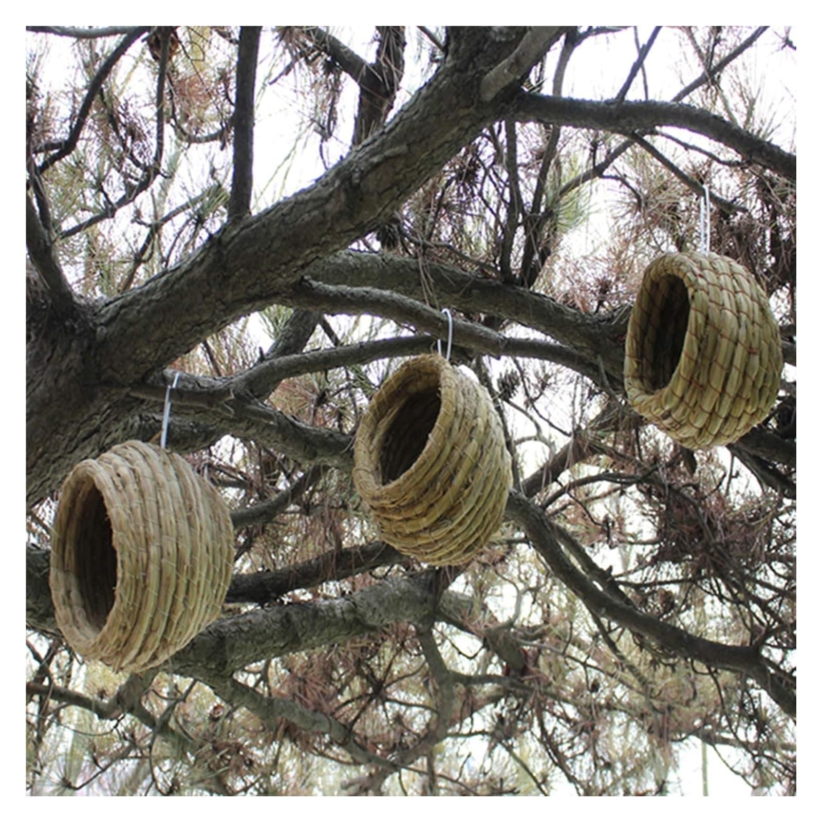 Nichoir en jonc de mer naturel pour oiseaux, lieu de repos confortable pour pigeons et perroquets