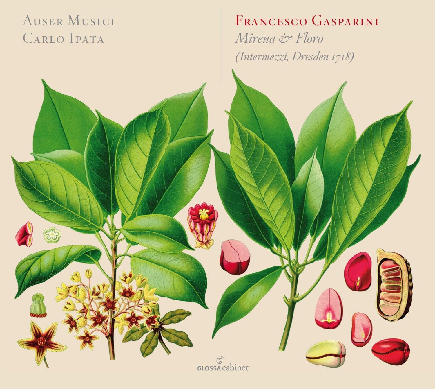 Francesco Gasparini - Mirena e Floro Intermezzi, Dresden 1718