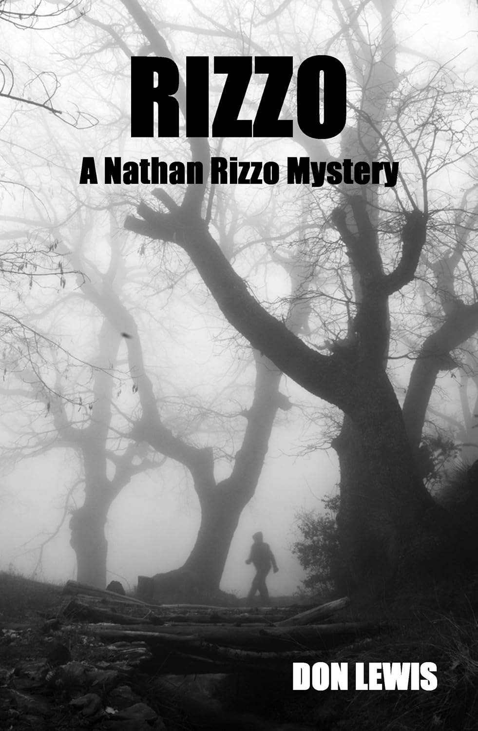Amazon.com: Rizzo, A Nathan Rizzo Mystery eBook : Lewis, Don: Books