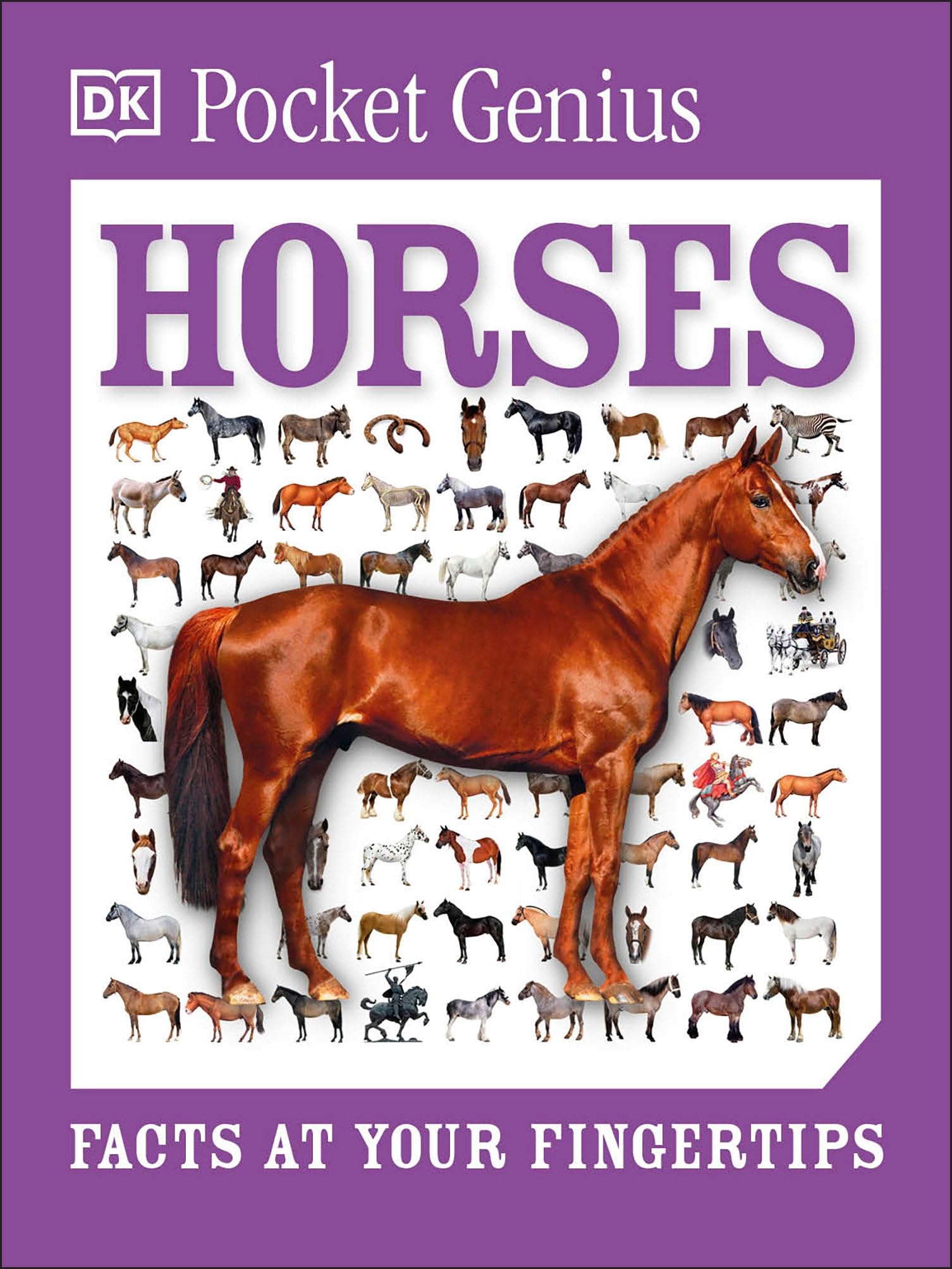 Pocket Genius Horses: Facts at Your Fingertips