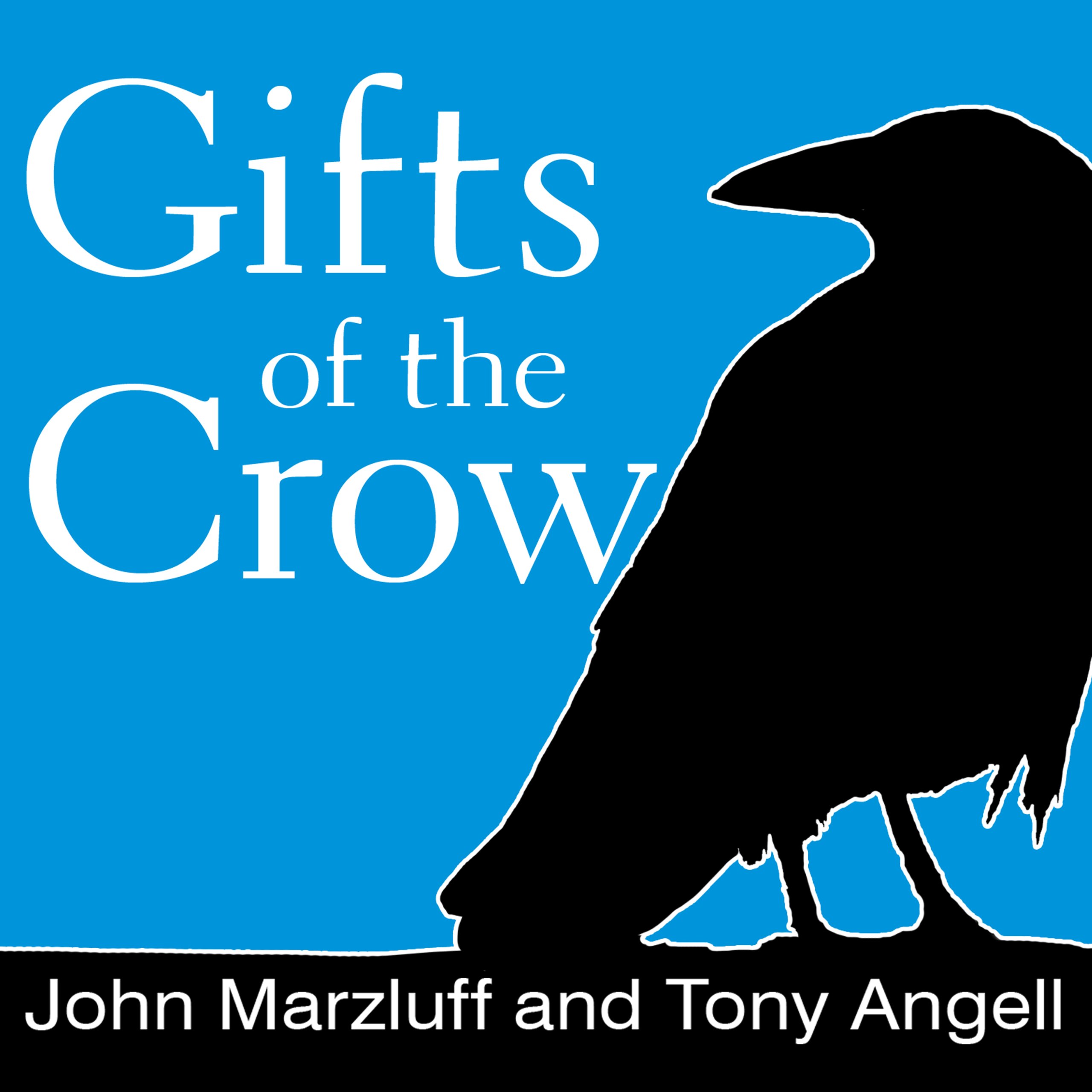 Cover art for Gifts of the Crow