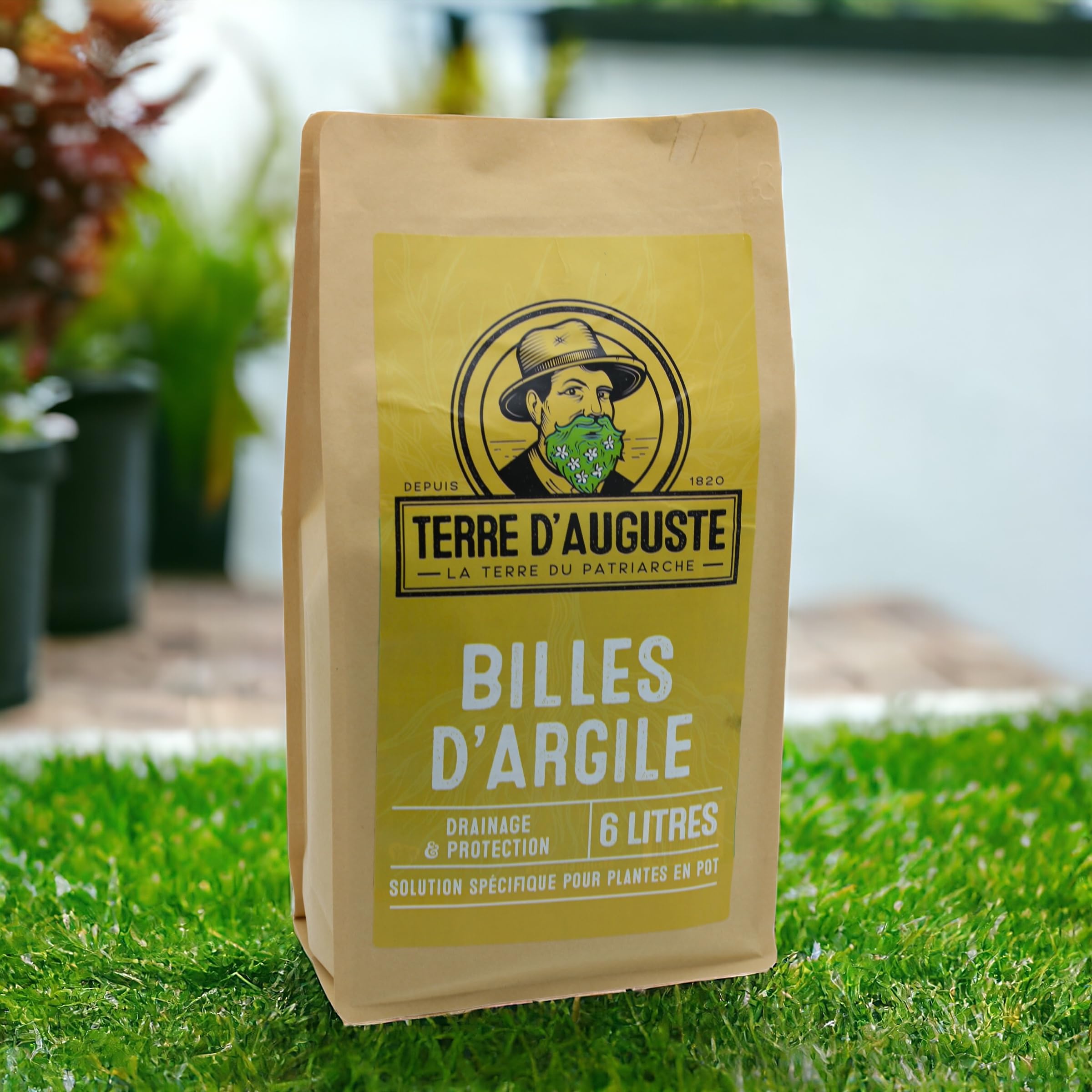 Terre d'Auguste - Billes d'argile Premium 6L - Sac Refermable - Idéal pour Plantes Vertes, Orchidées, Bonsaïs, Cactus et Plantes d'intérieur