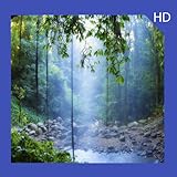 - Totally free. You don't need to spend your money to get all images. It is completely free.