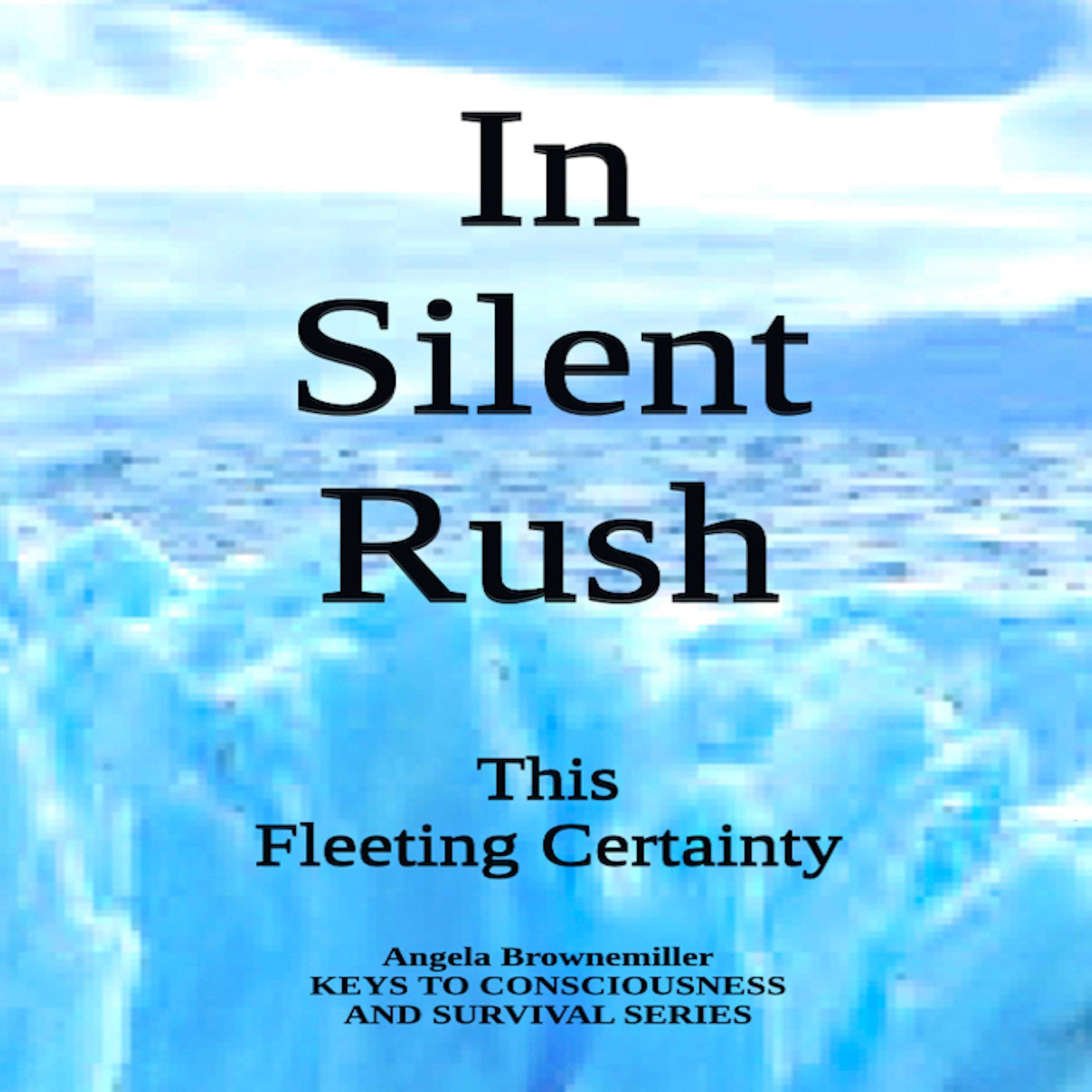 In Silent Rush: This Fleeting Certainty