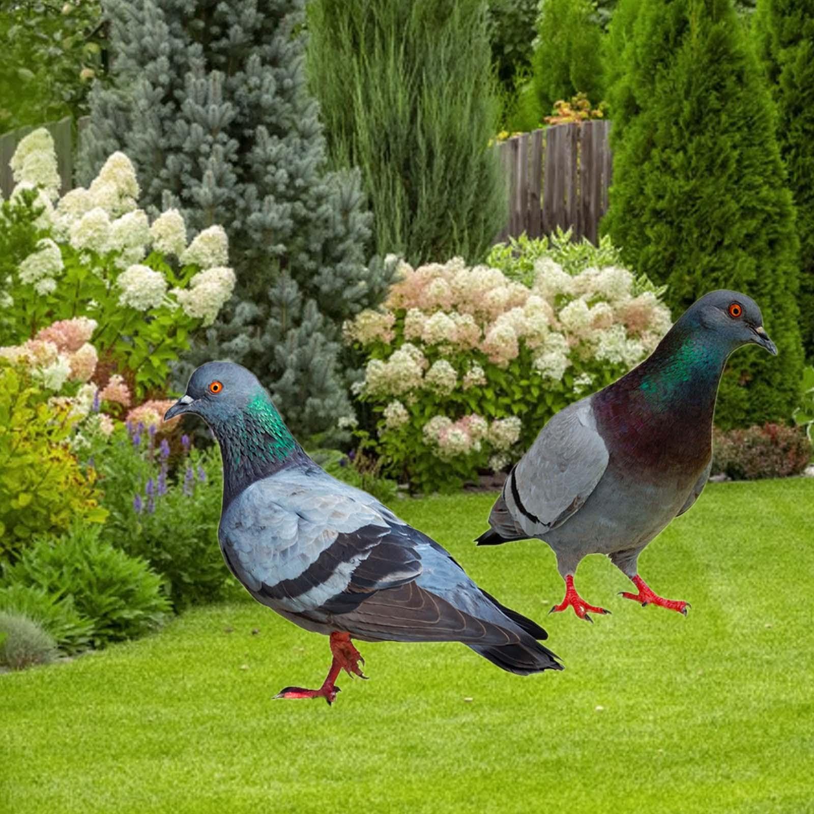 2 Statue di Piccioni da Giardino, Statuette di Uccelli da Inserire nel Terreno, Sculture di Animali Realistiche per Decorazioni da Giardino, Patio