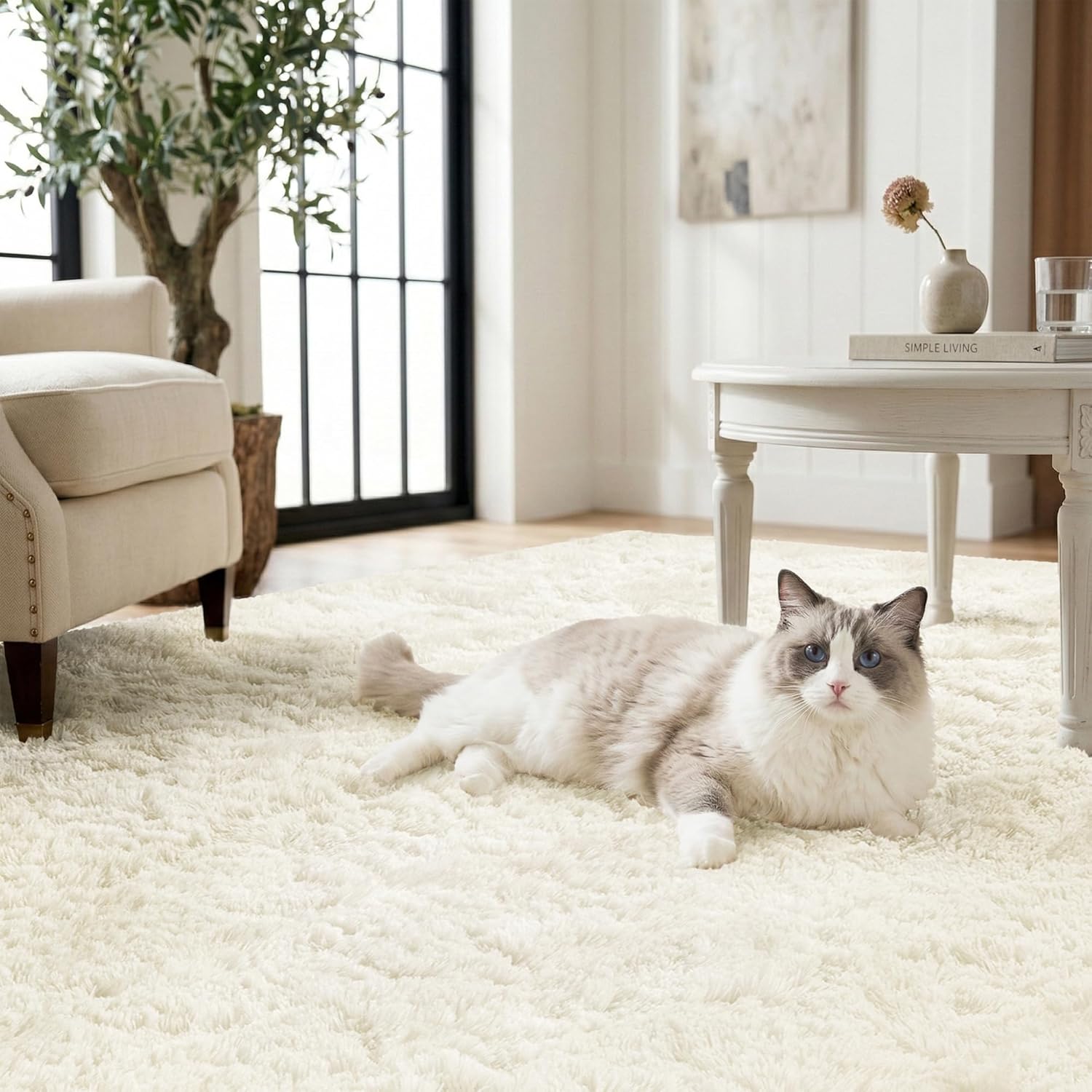 Andency Cream Soft Area Rugs for Living Room Bedroom, 4x6 Fluffy Shaggy Bedside Rug, Non-Slip Large Shag Fuzzy Plush Carpets for Bedroom Kids Dorm Nursery Home Decor Aesthetic