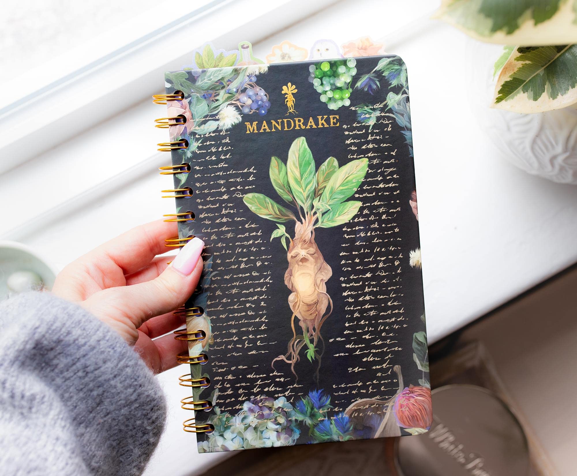 Silver Buffalo Harry Potter Mandrage, kwiatowy notatnik spiralny z 5 zakładkami, 75-stronicowy szkicownik, notatnik roboczy z papierem w linie, pisanie dziennika podróżnego, artykuły szkolne do szkoły