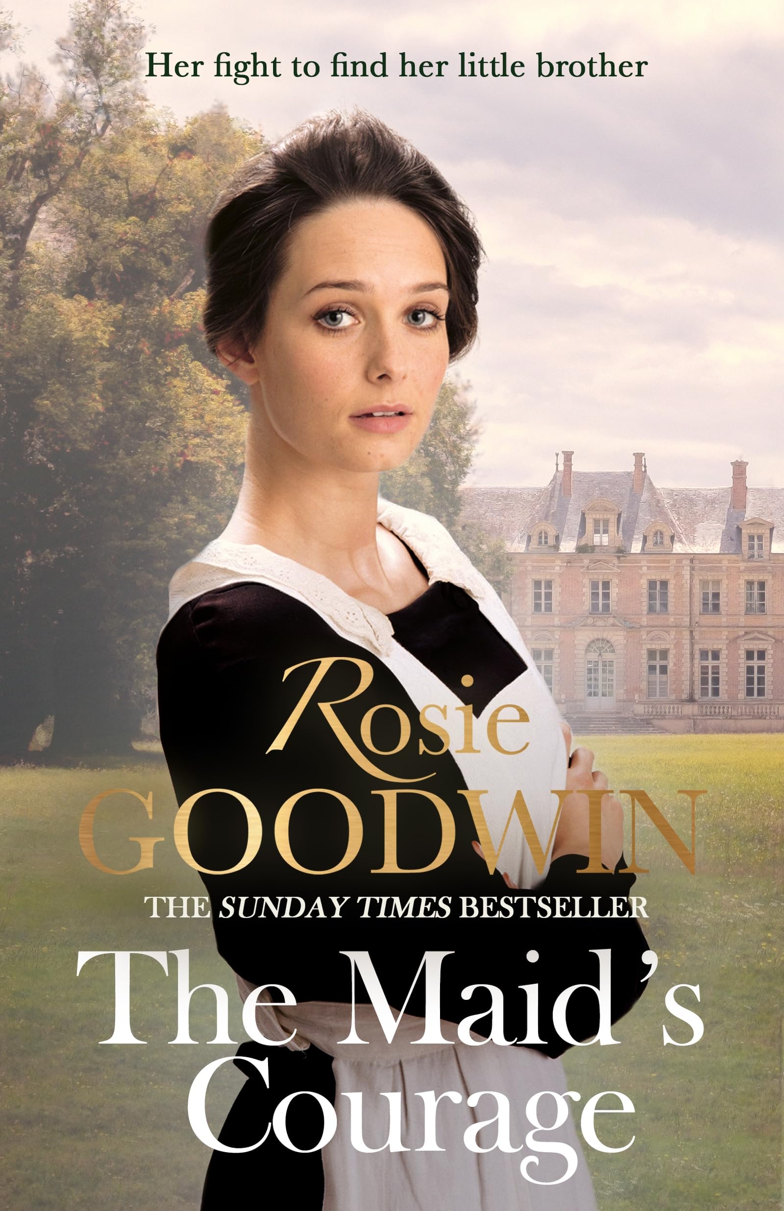 Maid's Courage by Rosie Goodwin (Paperback Book)