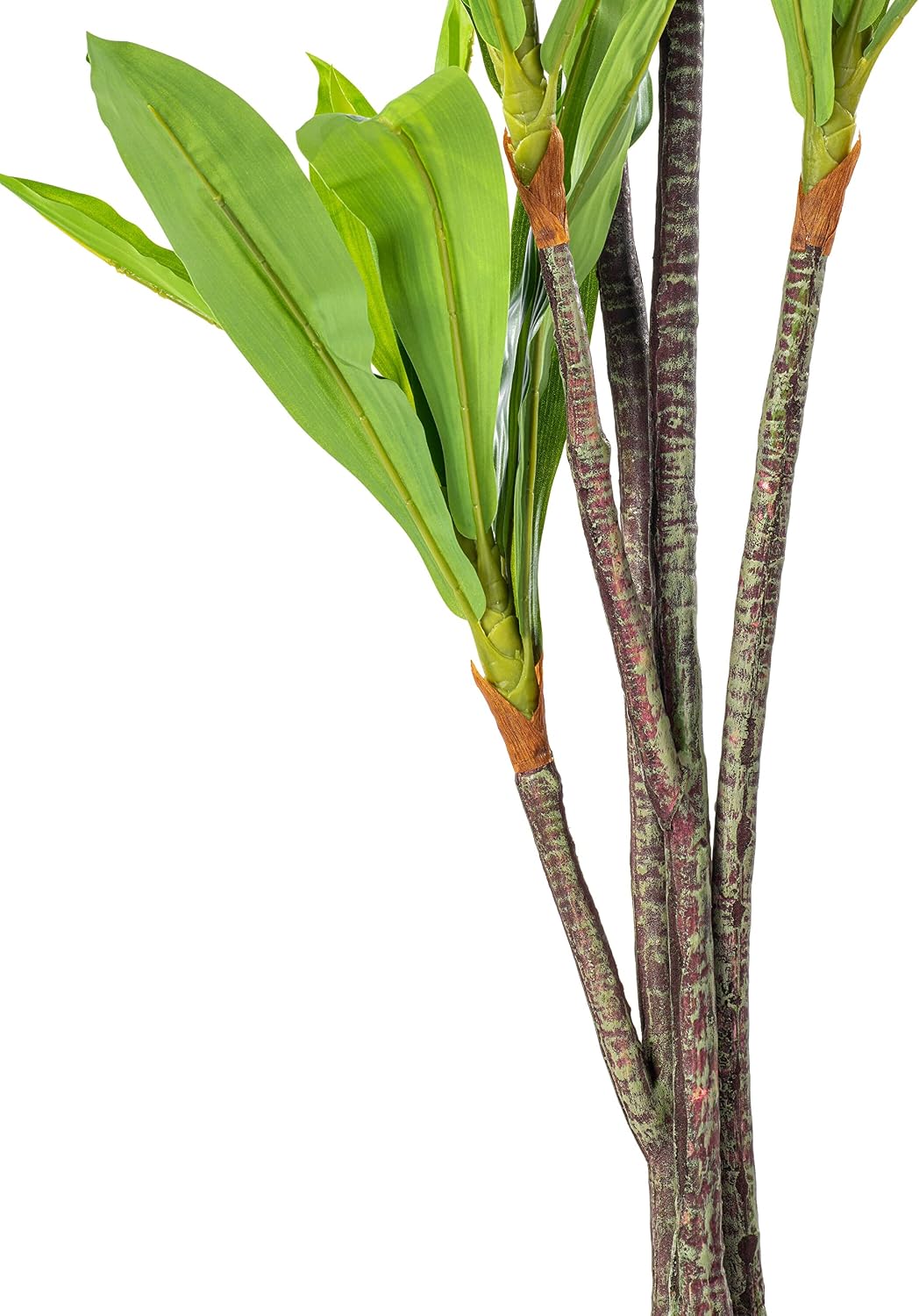 Vickerman Everyday 5' Tall Artificial Potted Real Touch Dracaena Tree - Lifelike Home or Office Decor - Premium Artificial Dracaena Tree - Maintenance Free Faux Plant