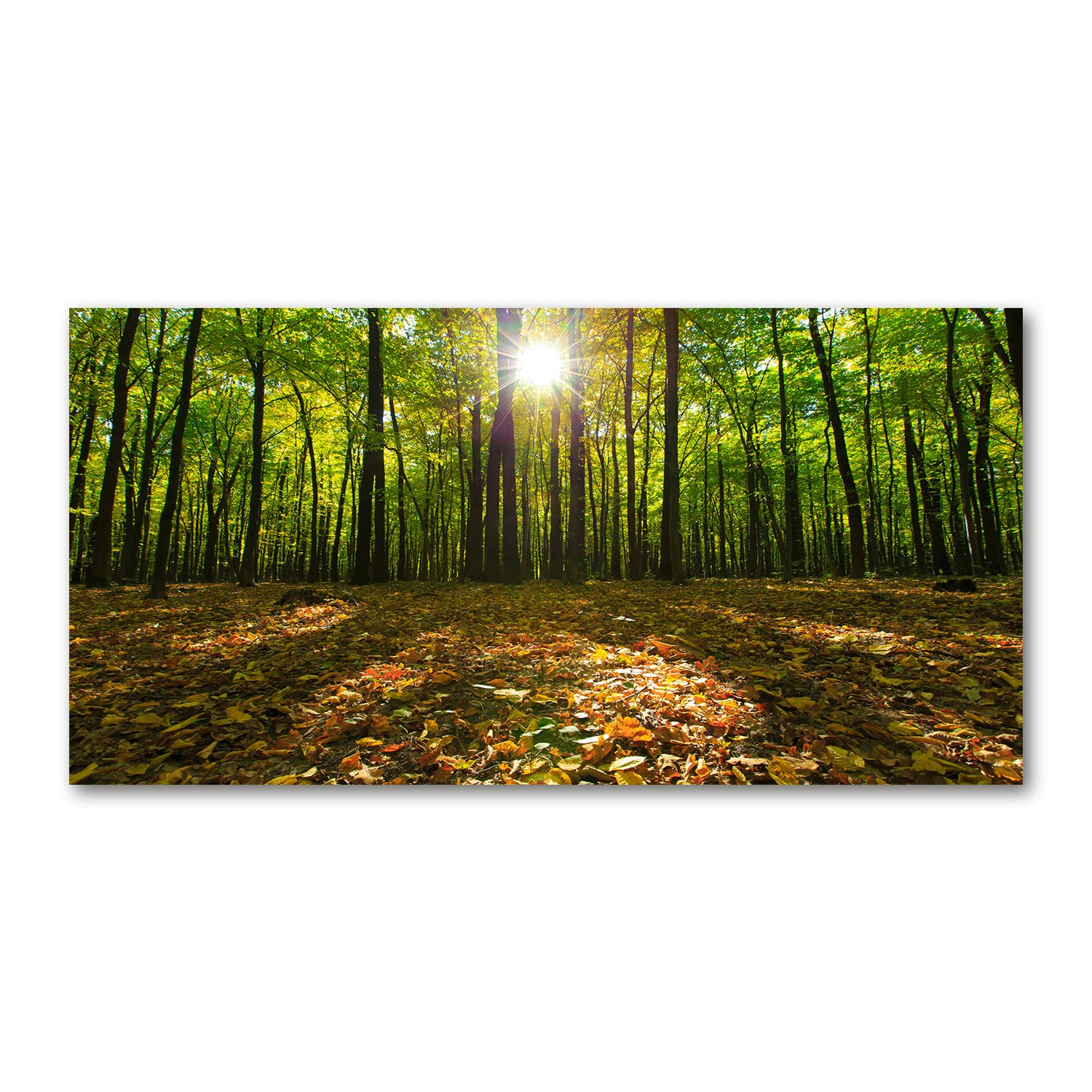 Tulup Glass Picture Wall Art - 100x50cm - Tempered Glass Decoration - Print for Living room Bedroom - Toughened Glass Image - Glass picture Wall Art - Forest