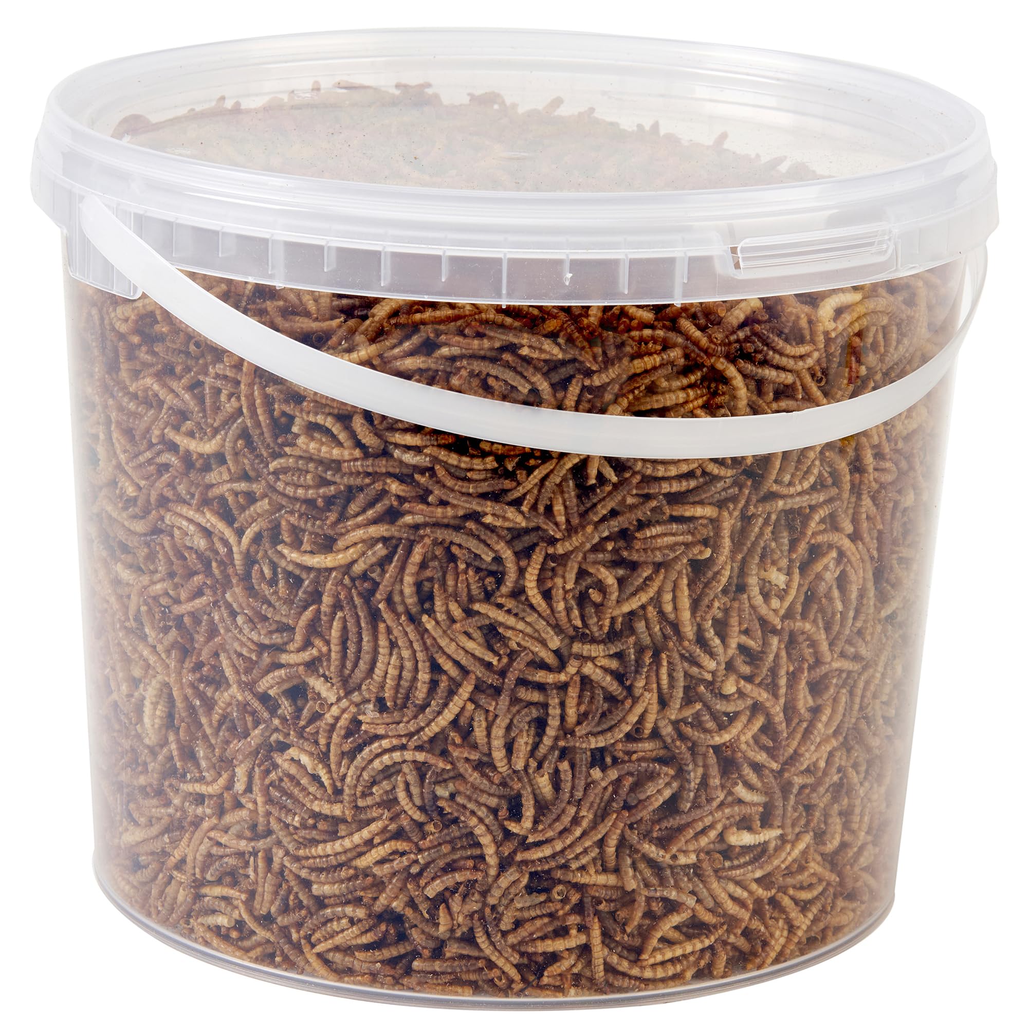 Wild Bird Food 5L Tub (5L Tub, Dried Mealworms)