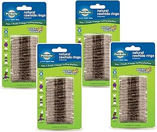 Pack Busy Buddy Refill Ring